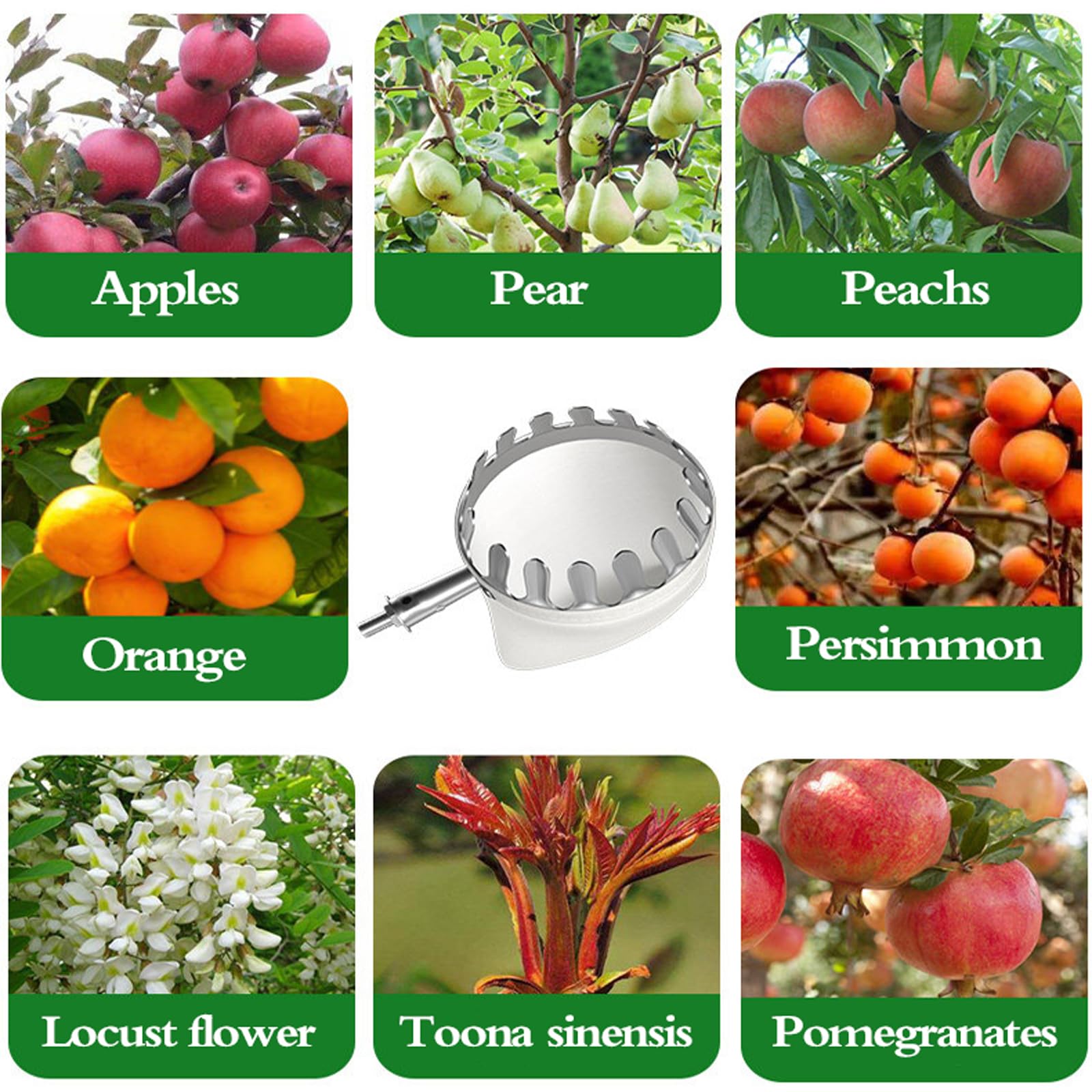 Attrezzo Raccogli Frutta,Raccogli Frutta da Albero,Raccoglifrutta Telescopico Inox,Asticcio Raccoglifrutta Telescopico,Facile da Montare,per Raccogliere Fruttas da Luoghi Alti