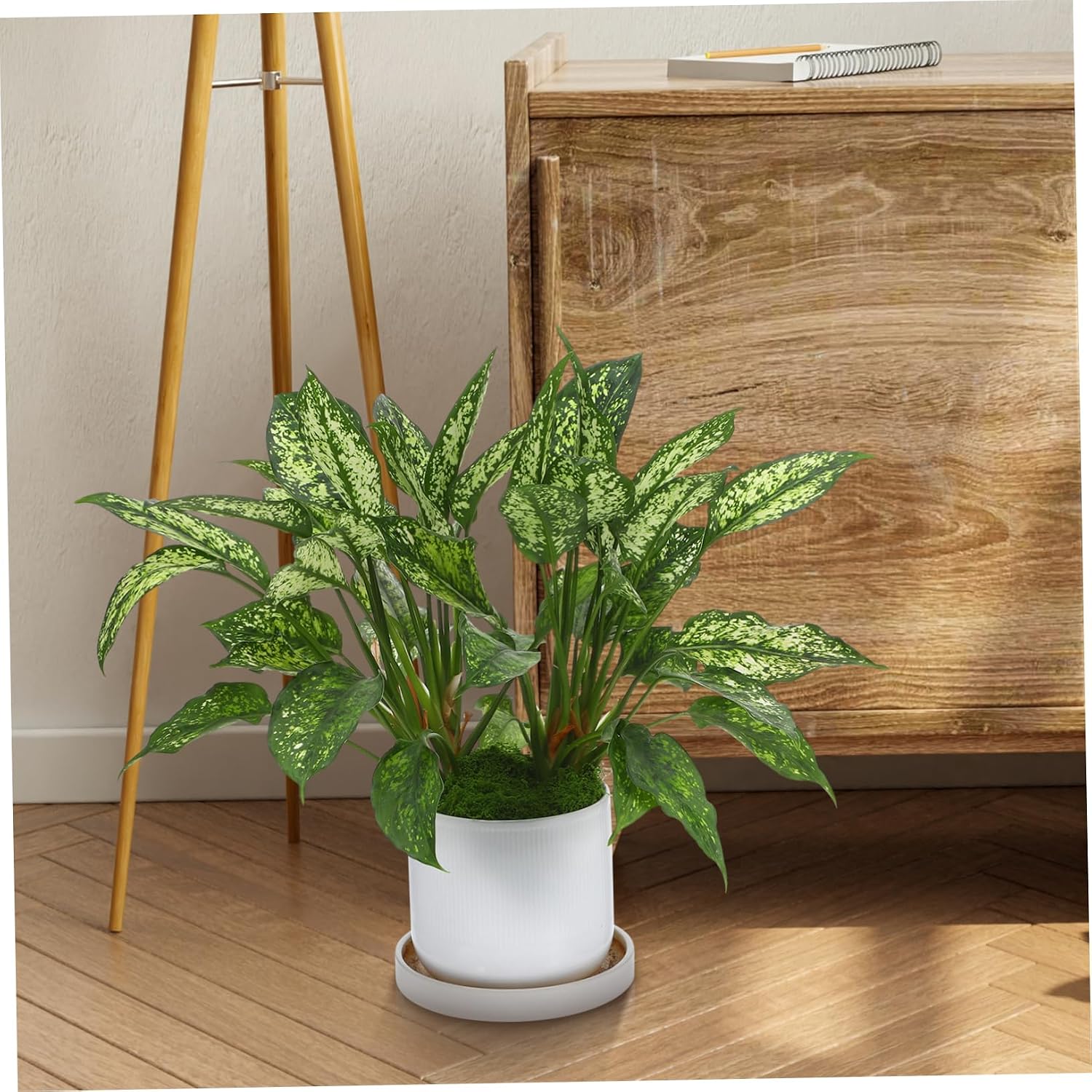 Anneome 1Bag Artificial Moss for Crafts Decorative Faux Moss Centerpieces for Wedding Party and Garden Floral DIY Decoration Bag Lifelike Texture Low Maintenance