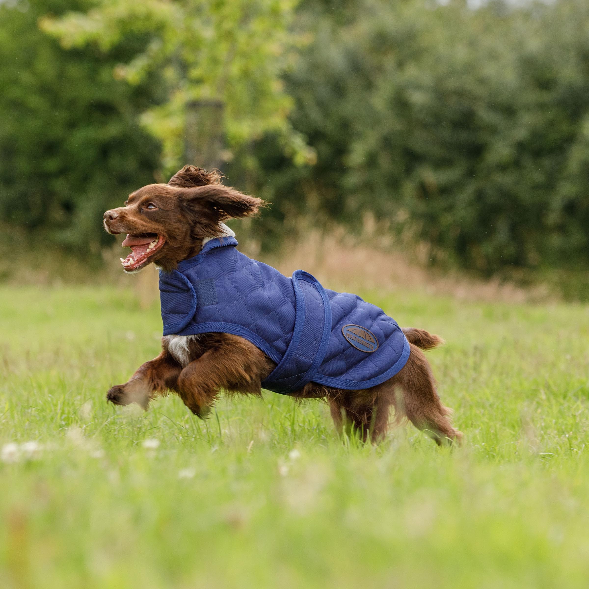 WeatherBeeta ComFiTec Deluxe Diamond Quilt Cappottino per cani, blu navy, 75 cm