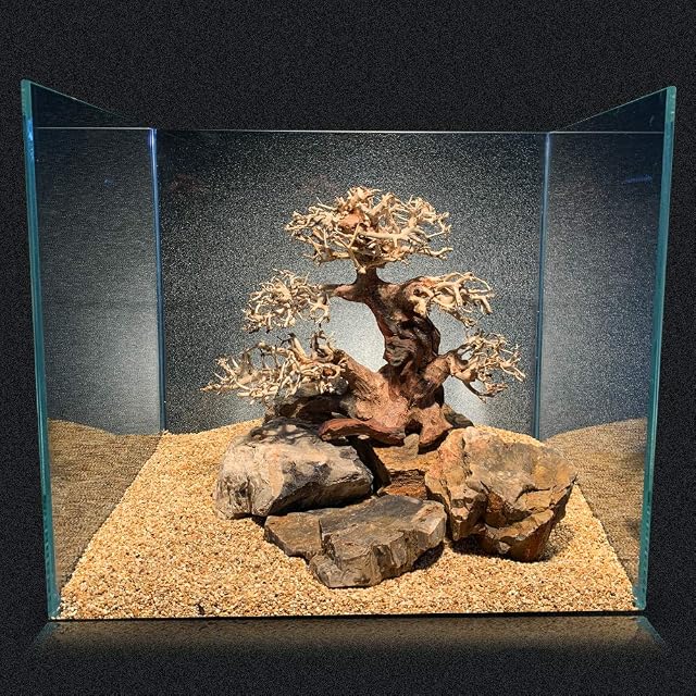Foto 2 de 3 de Amtra - Oriental Wind 4 Madera, Hecho A Mano, Para Acuario, 23X10X17 Cm