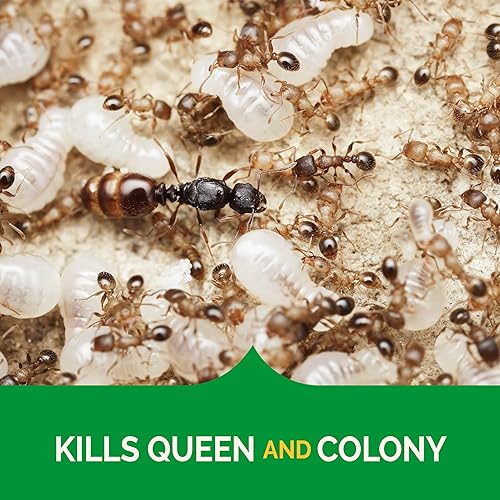 Miniatura 4 de Hot Shot Ultra Clear carnada para cucarachas y hormigas transparente