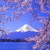 - You can Set all wallpaper hd picture mountain Fuji wallpaper and backgounds.