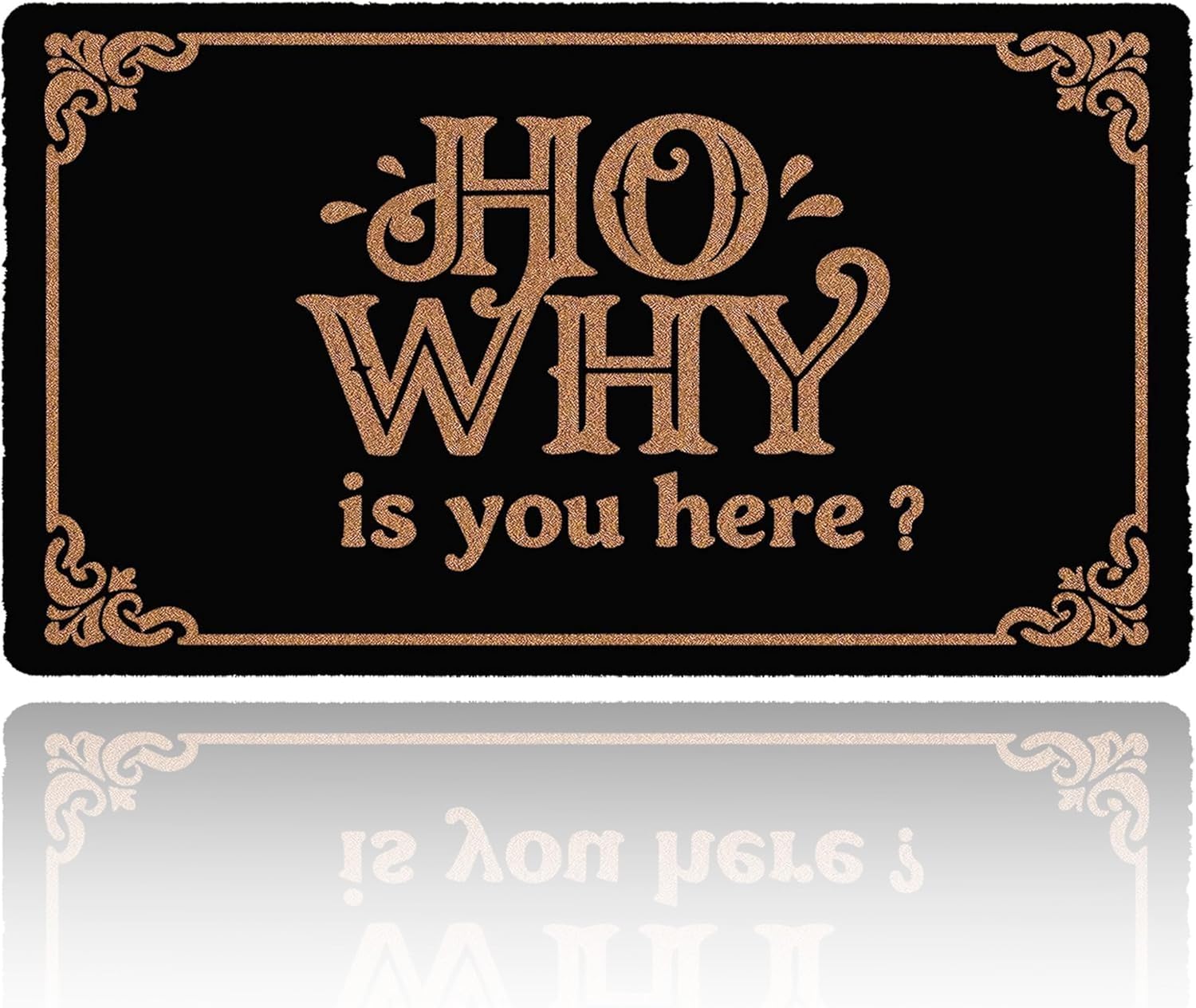 Ho Why is You Here Funny Welcome Mats Front Door Mat Anti-Slip Durable Non-Slip Indoor & Outdoor Mat for Home, Housewarming Gift,Did You Call First Doormat 30" Wx17 L