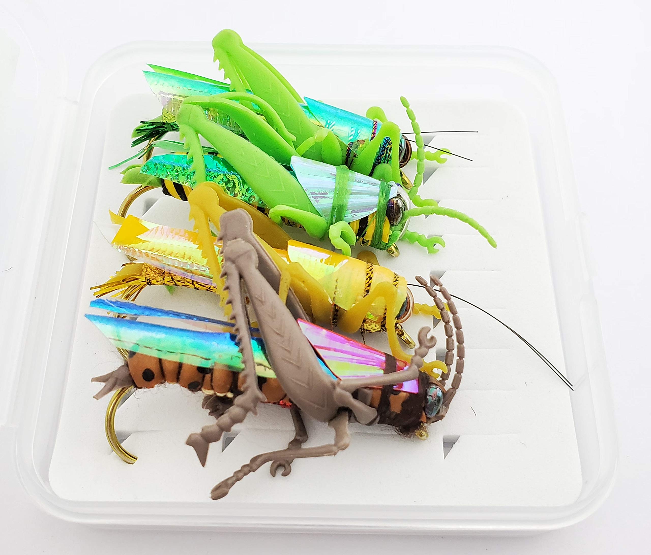 YZD Salmon Fly Fishing Flies Collection Dry Wet Nymph Fly Assortment with Fly Box Flyfishing Flys Lures Kits (19-D-29 4PCS)