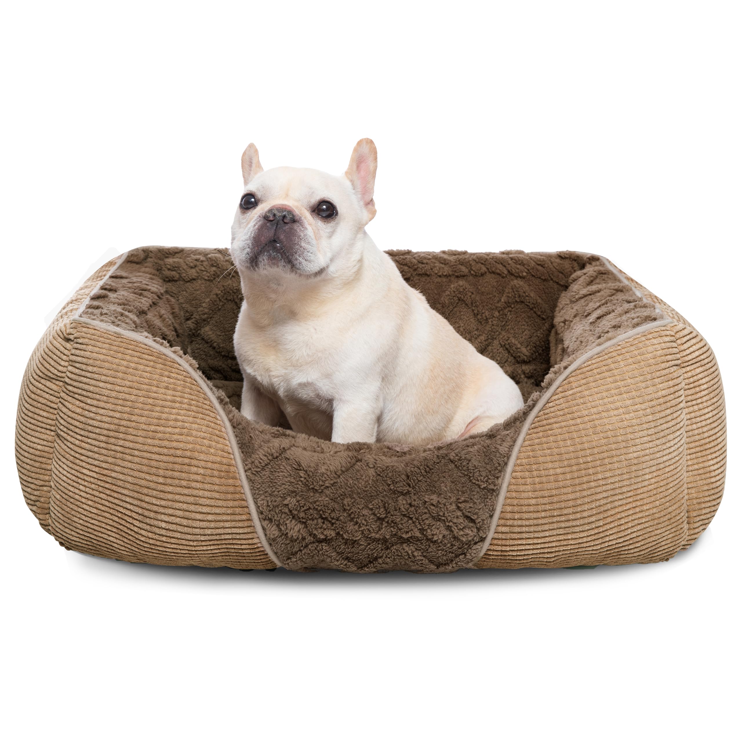 Heymamba Small Dog Bed Puppy Bed with Appearance Design of Soft Corn Kernels for Corgi/French Bulldog/Chihuahua/Yorkshire