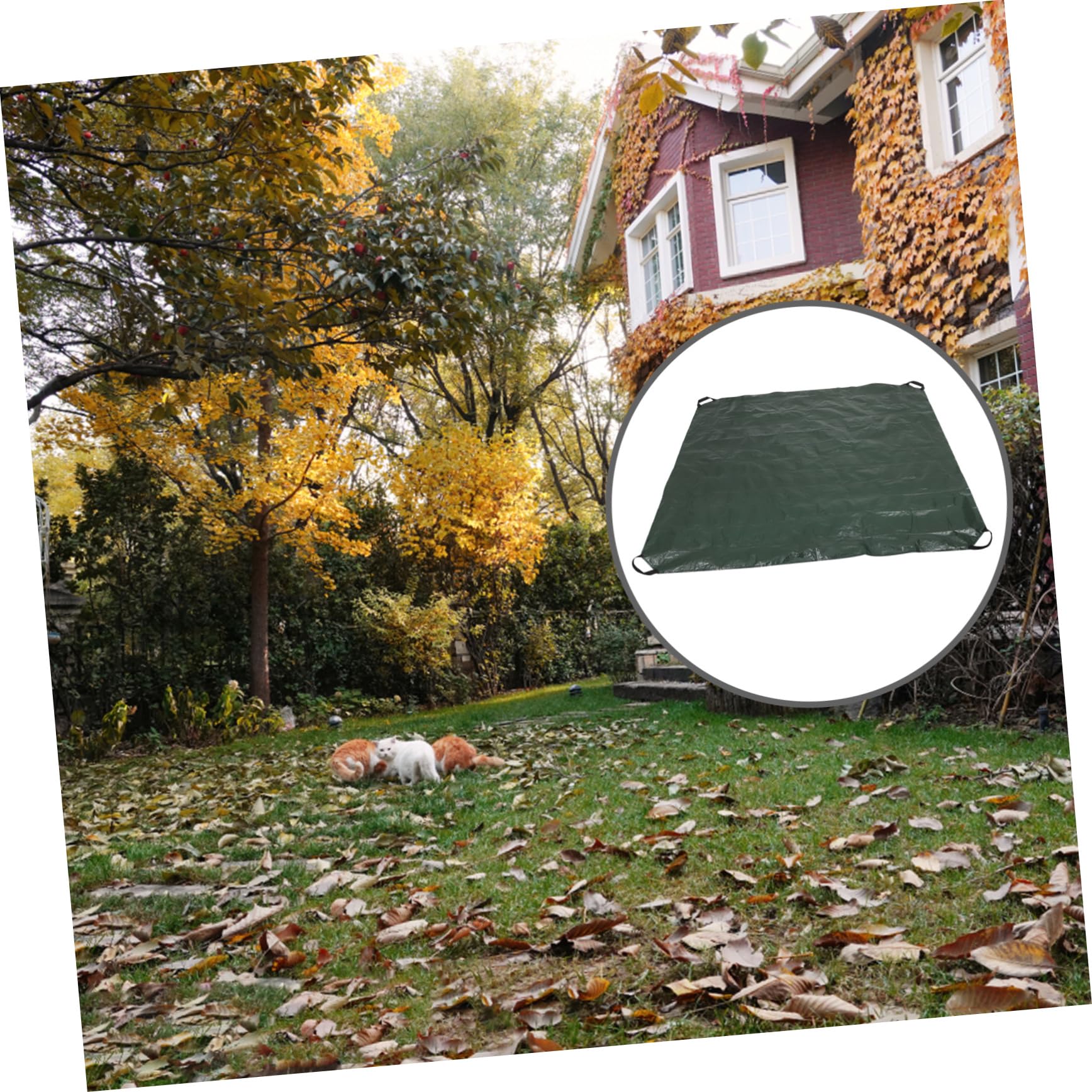 Faltbarer Gartensack aus Pe Wiederverwendbar mit Griffen Grün für Laub und Gartenabfälle in Garten und Hof