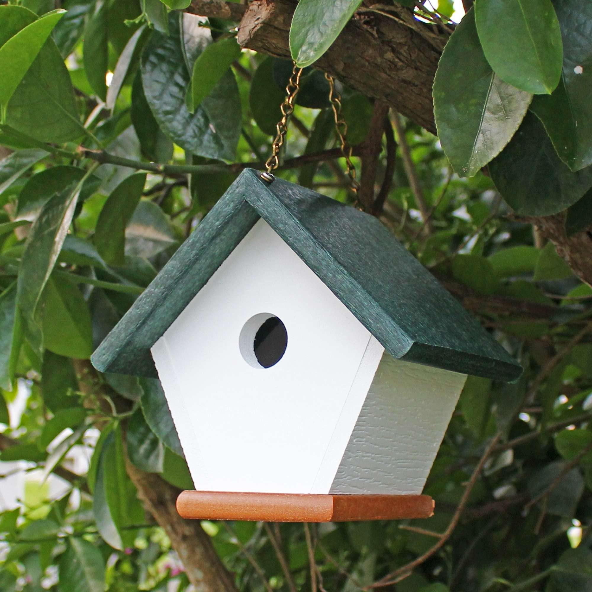 Para colgar Wren House: único y colorido pájaro casas de respetuoso con el medio ambiente reciclado hecho a mano material plástico
