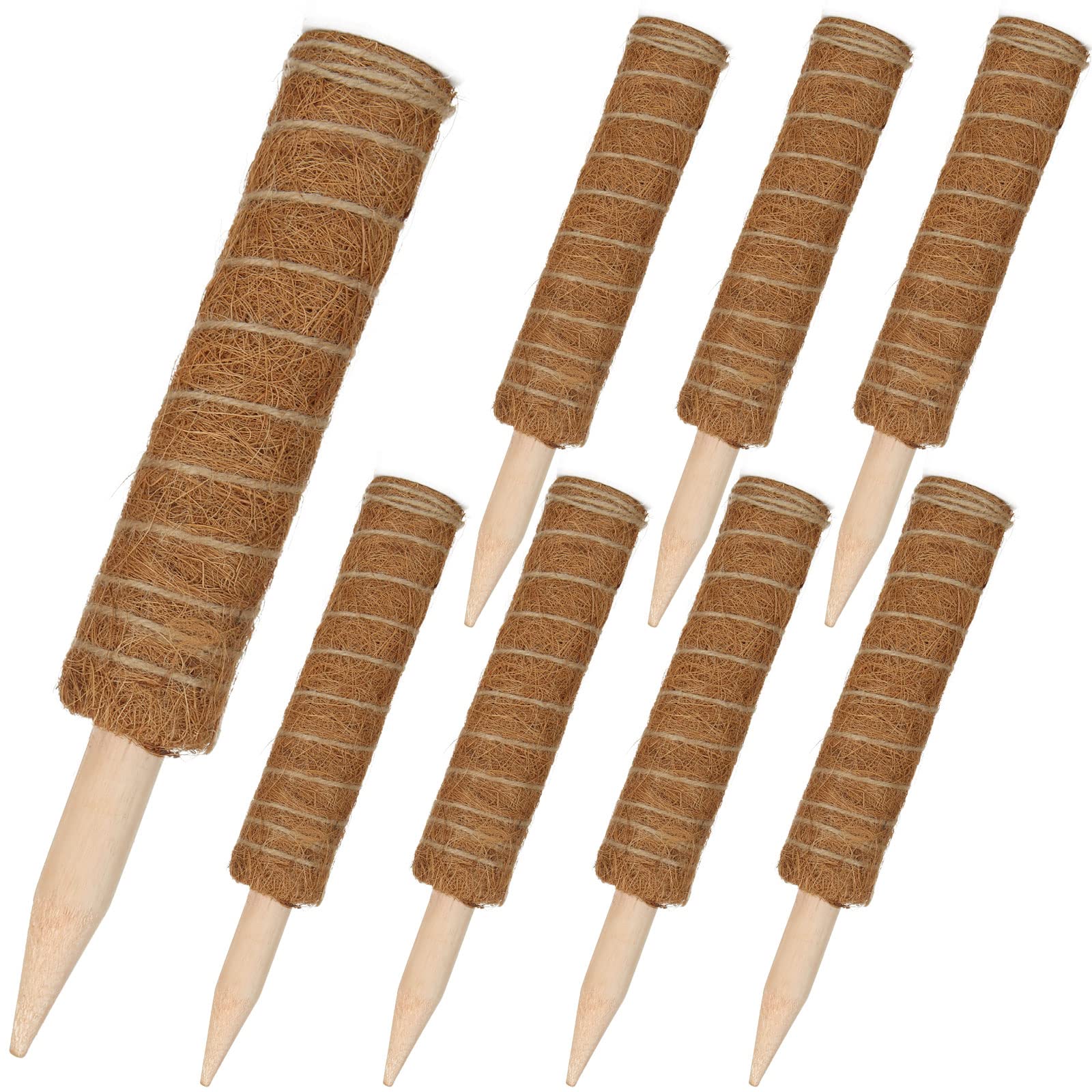 Amazon | RILIHII【8本／セット】支柱 園芸 植物支柱 園芸支柱 つる性