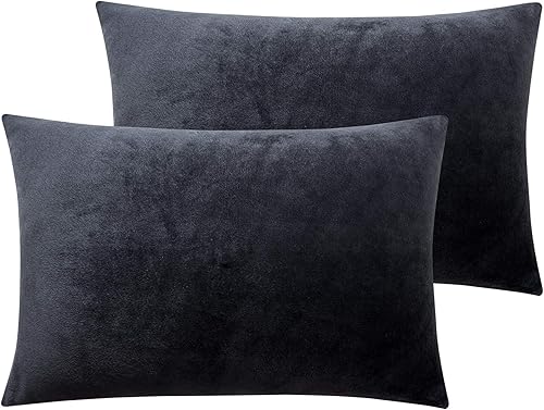 NTBAY - Set de 2 fundas de lujo para almohadas, hechas de terciopelo, súper suaves y acogedoras