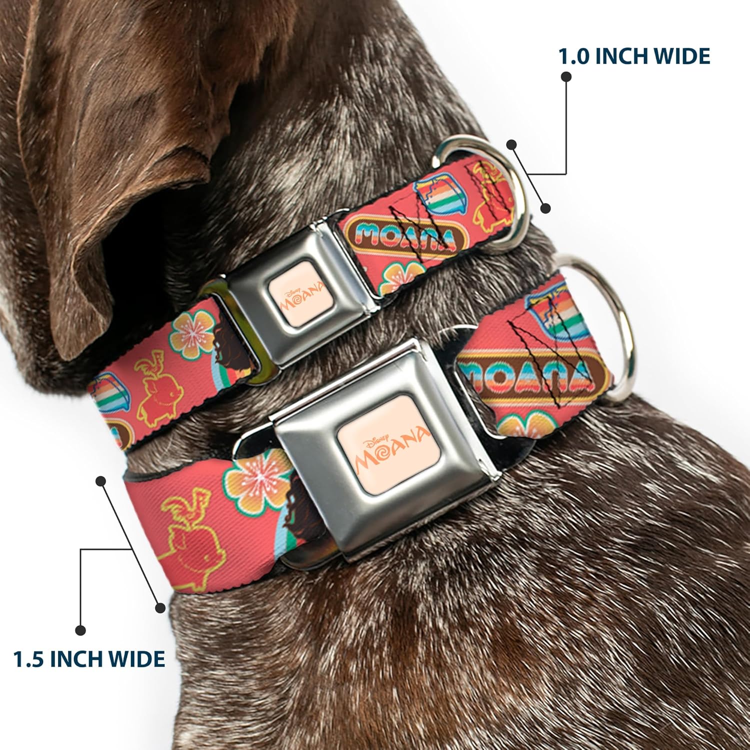 Disney Pet Collar, Dog Collar Metal Seatbelt Buckle, Moana Pose and Icons Collage Pink, 15 to 24 Inches 1.0 Inch Wide