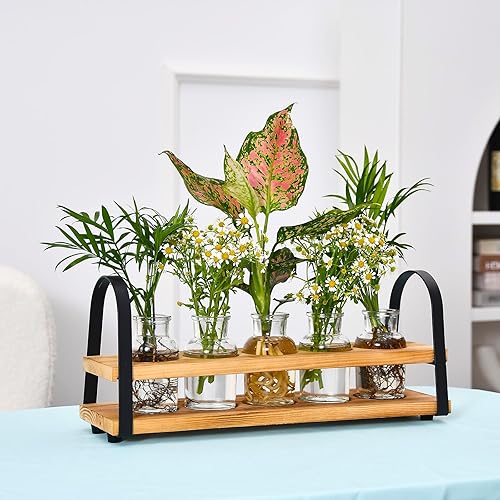 Miniatura 6 de Estaciones de propagación de plantas con soporte de madera, terrario de plantas de escritorio para propagación hidropónica, florero para decoración