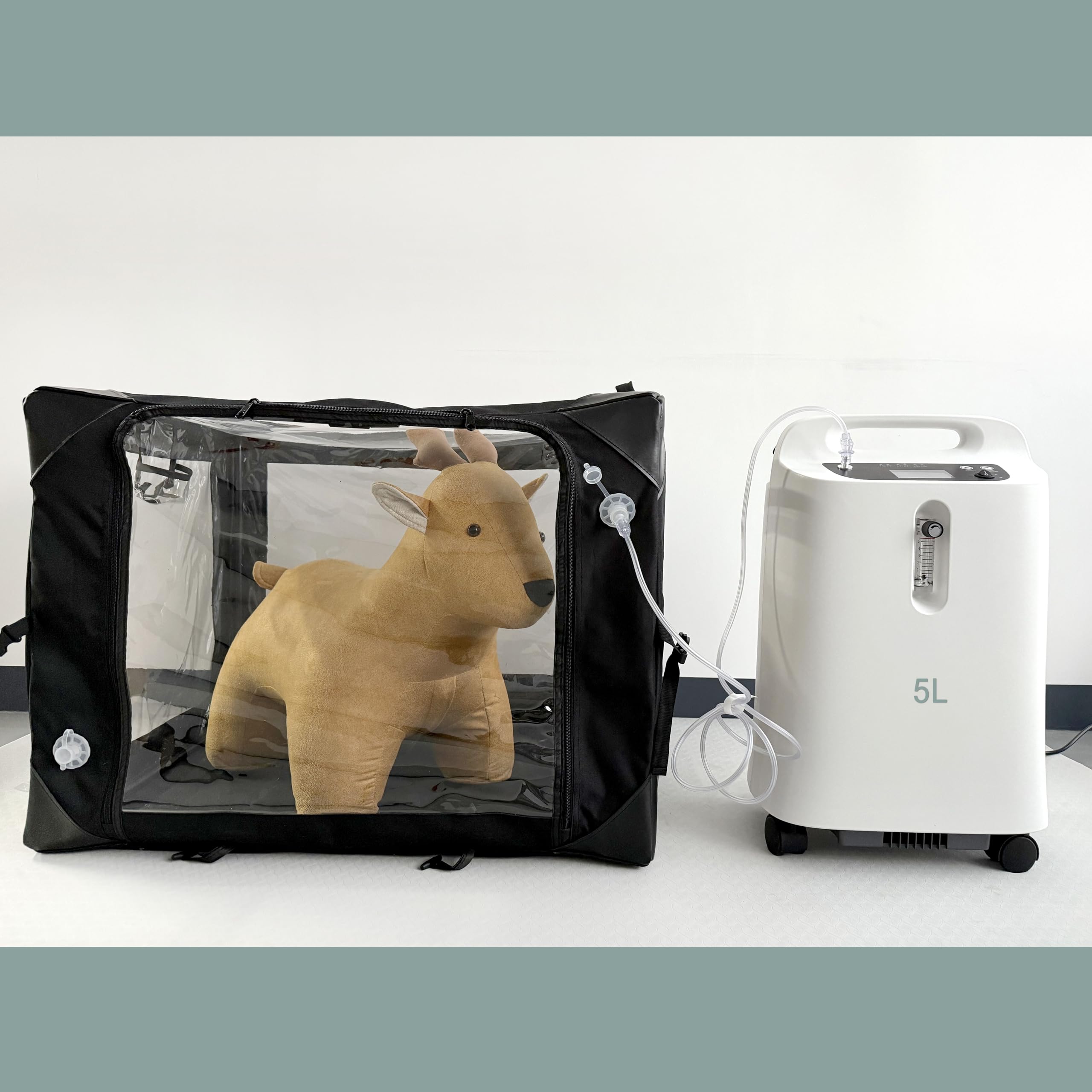 Amazon.co.jp: 猫と犬用のペット酸素室、特に高齢のペット向け、噴霧と