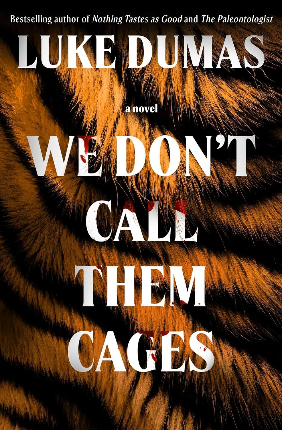 We Don't Call Them Cages: A Novel
