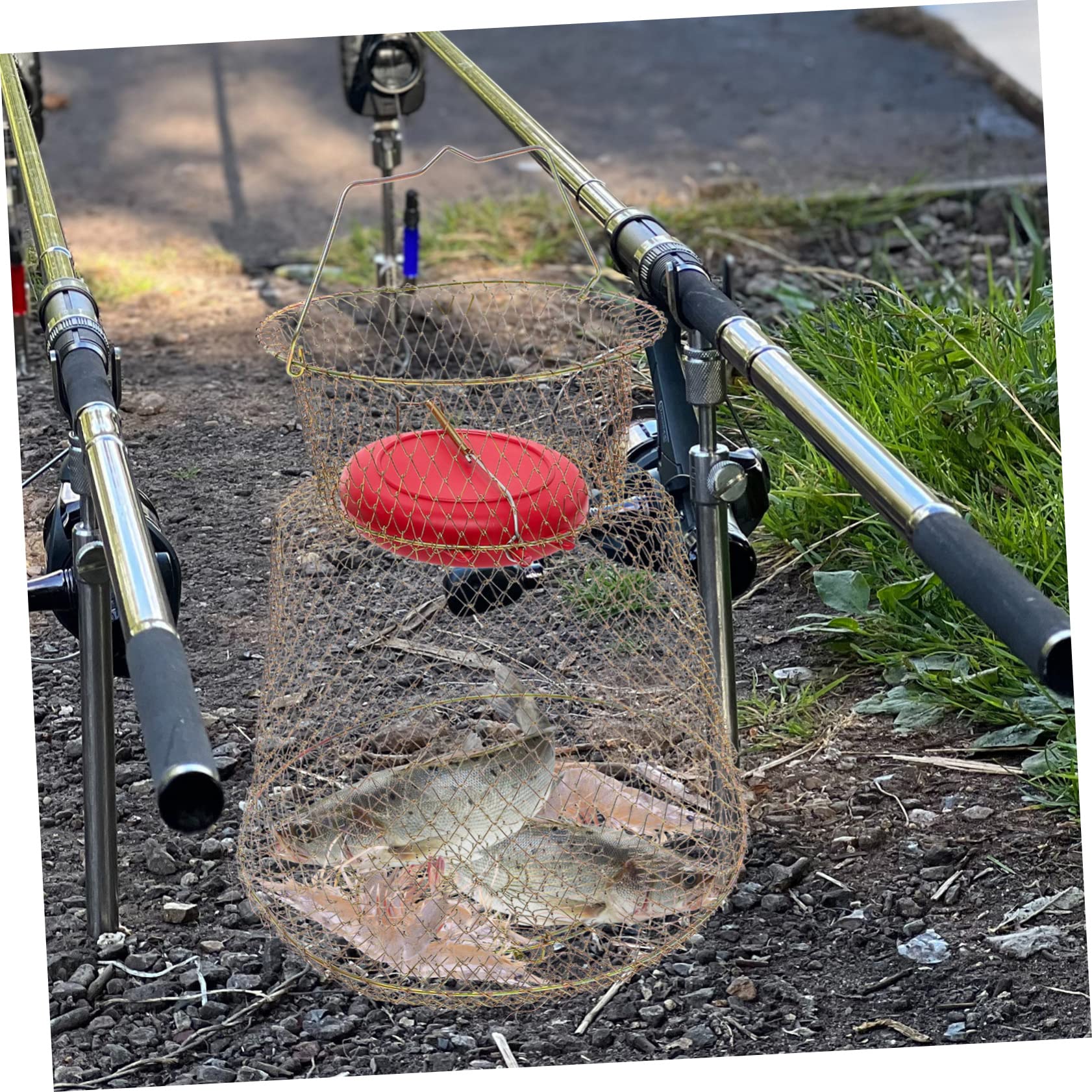 Fischkorb Fischernetz Tragbarer Angelkäfig Angelköderfallen Fischortungsnetz Großes Fassungsvermögen Fischnetz Fischnetze Zum Angeln Fischortungsnetz Angelnetz Fangnetz