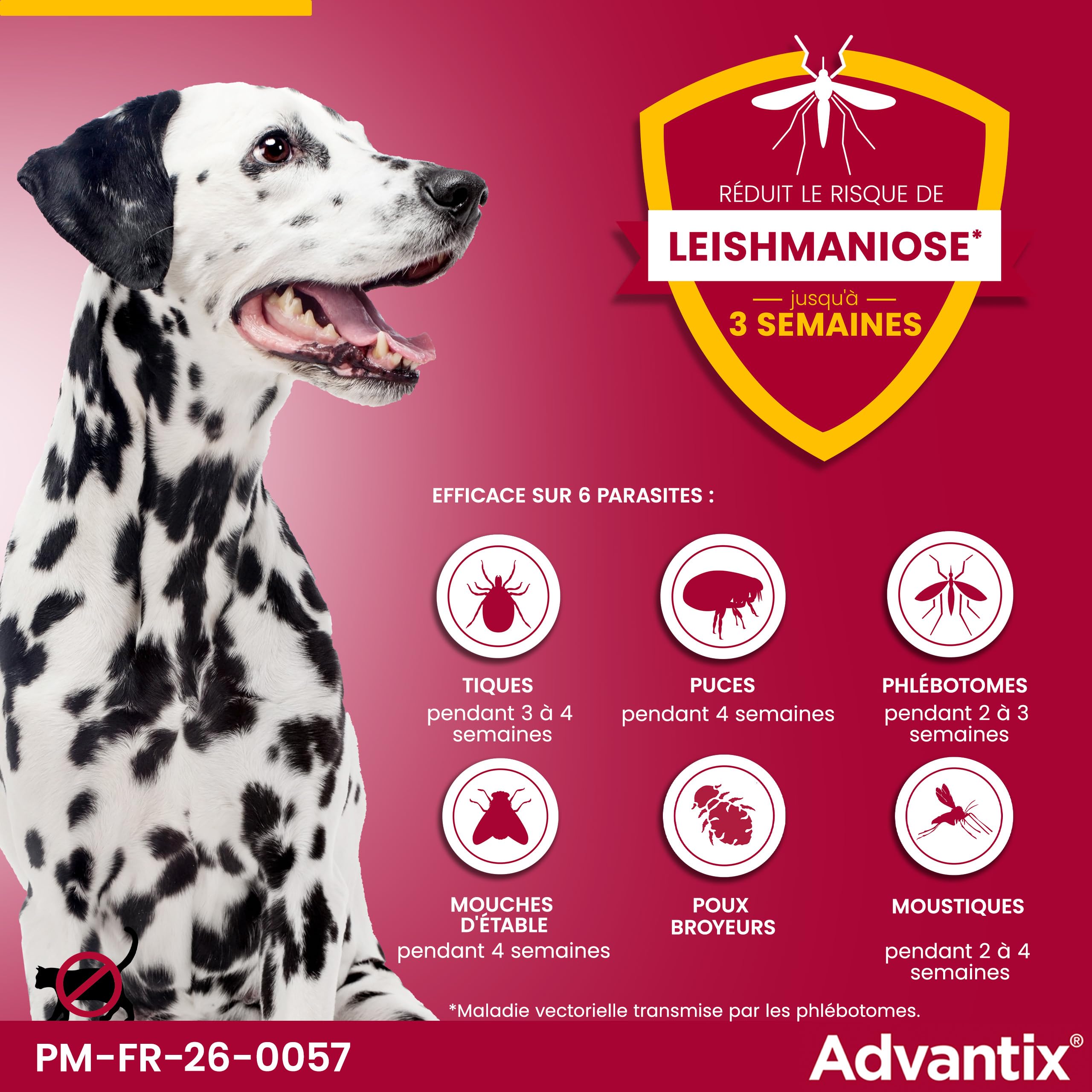 Advantix Grand Chien entre 25 et 40 kg – Pipettes pour chien contre 6 parasites – Traitement en pipette pour une protection en continu pendant 4 semaines – 4 x 4,0 ml