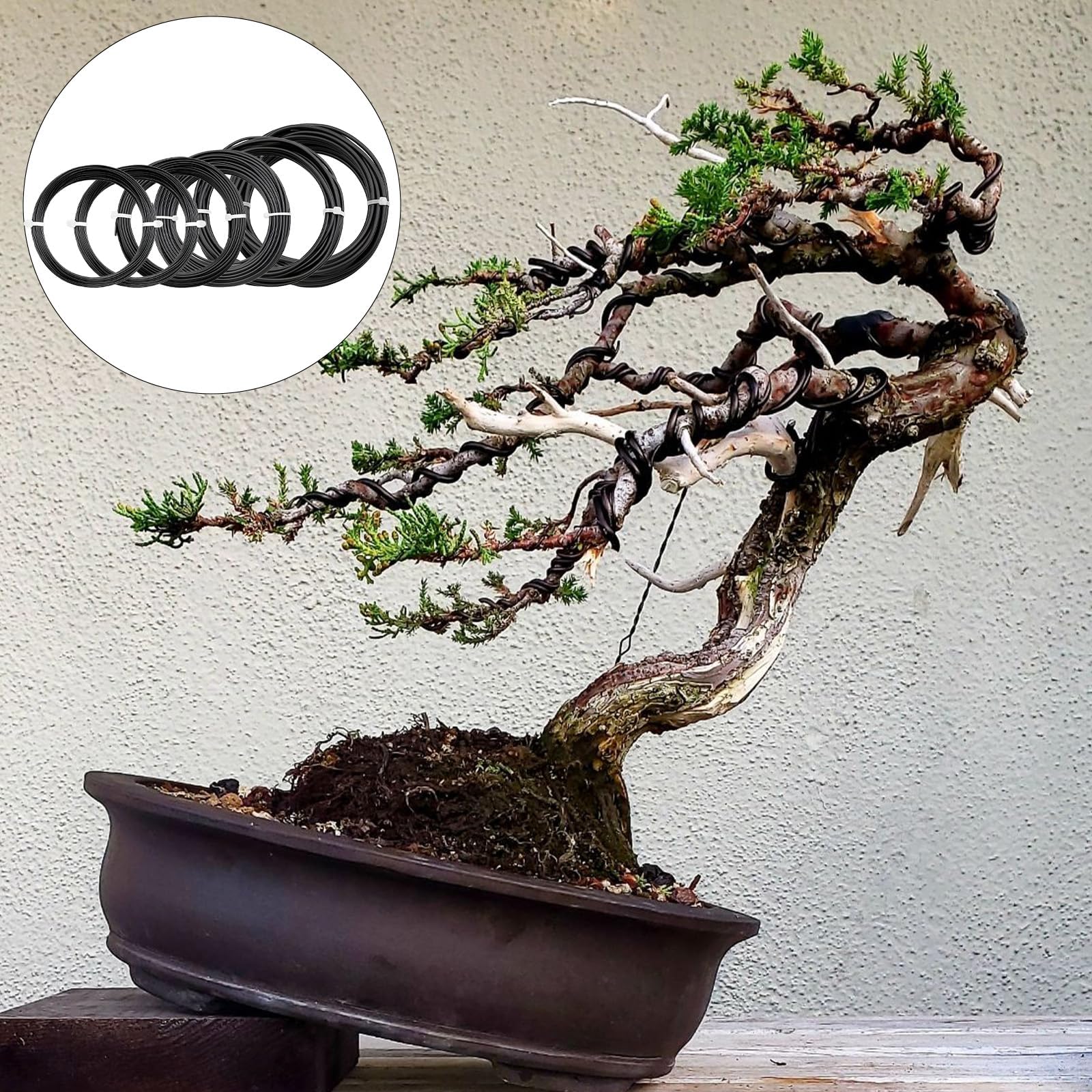 Bonsai Draht 6 Rollen Schwarz 50 m Pflanzendraht Basteldraht | Bonsaidraht Ø1,0 mm/1,5 mm/2,0 mm/2,5 mm/3,0 mm, flexibel und formstabil, für Bonsai, DIY, Skulpturen und Pflanzenpflege