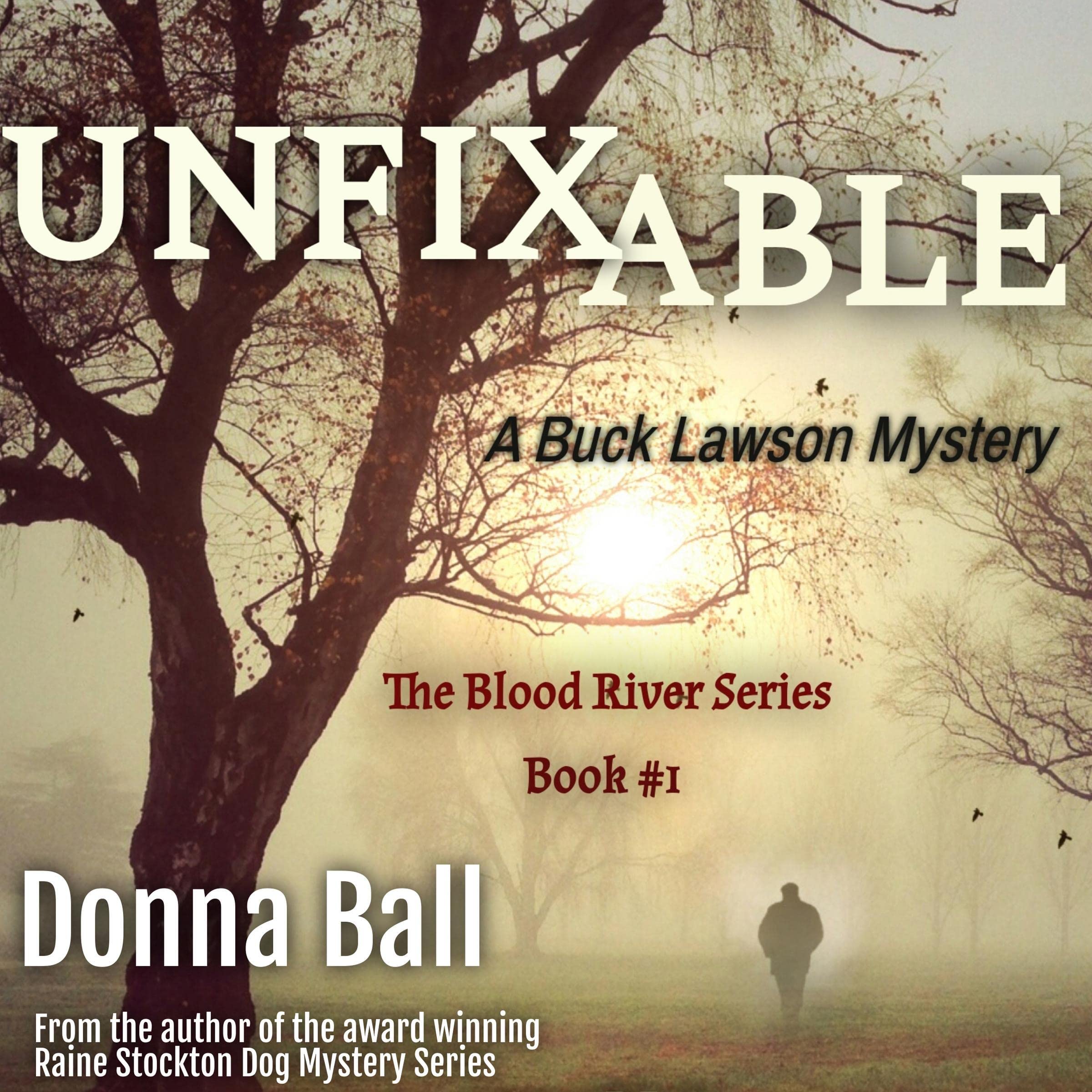 Unfixable: A Buck Lawson Mystery