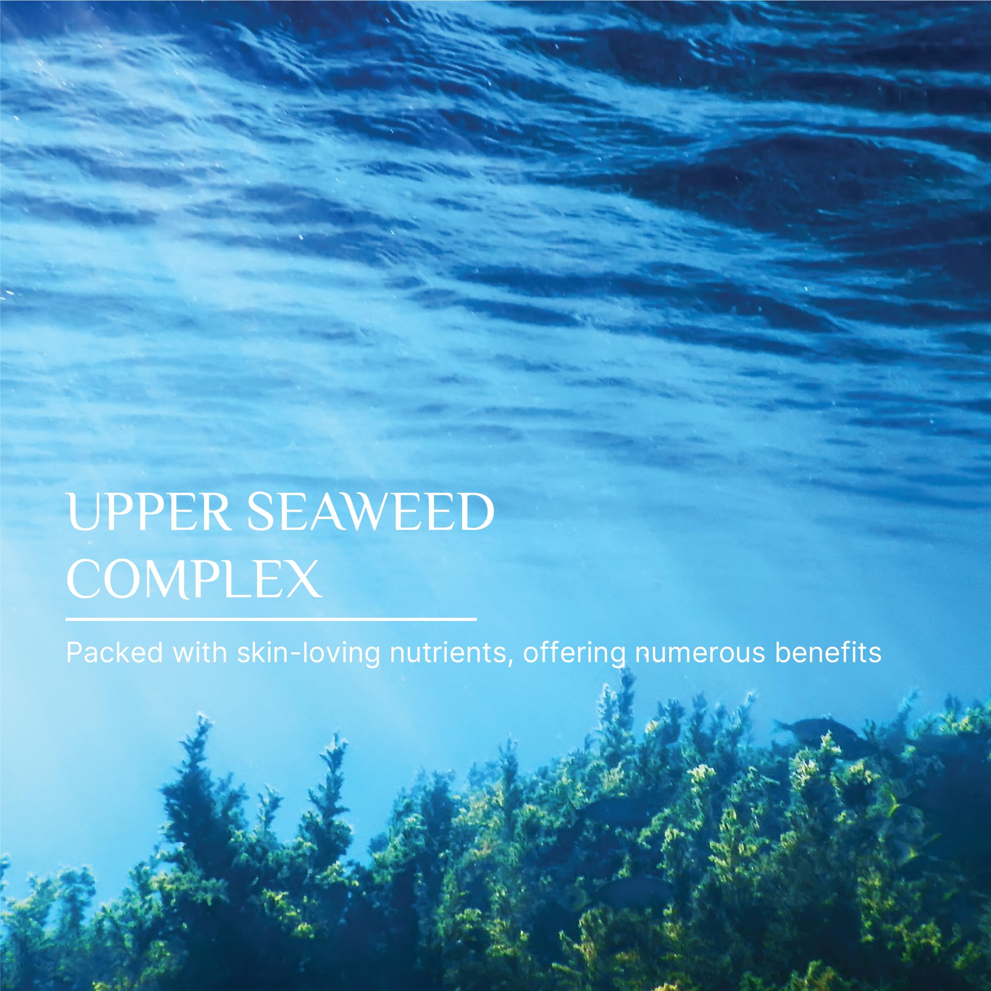 SEAWEED ORGANICS- Upper Seaweed Comfort Moisture Cream, Hydrating & Soothing Face Moisturiser with Natural Seaweed Extract - Image 4
