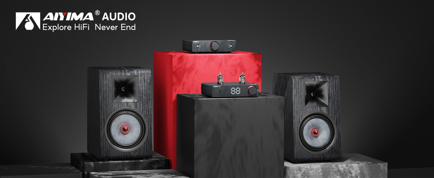 Amazon.com: AIYIMA P600 6.5