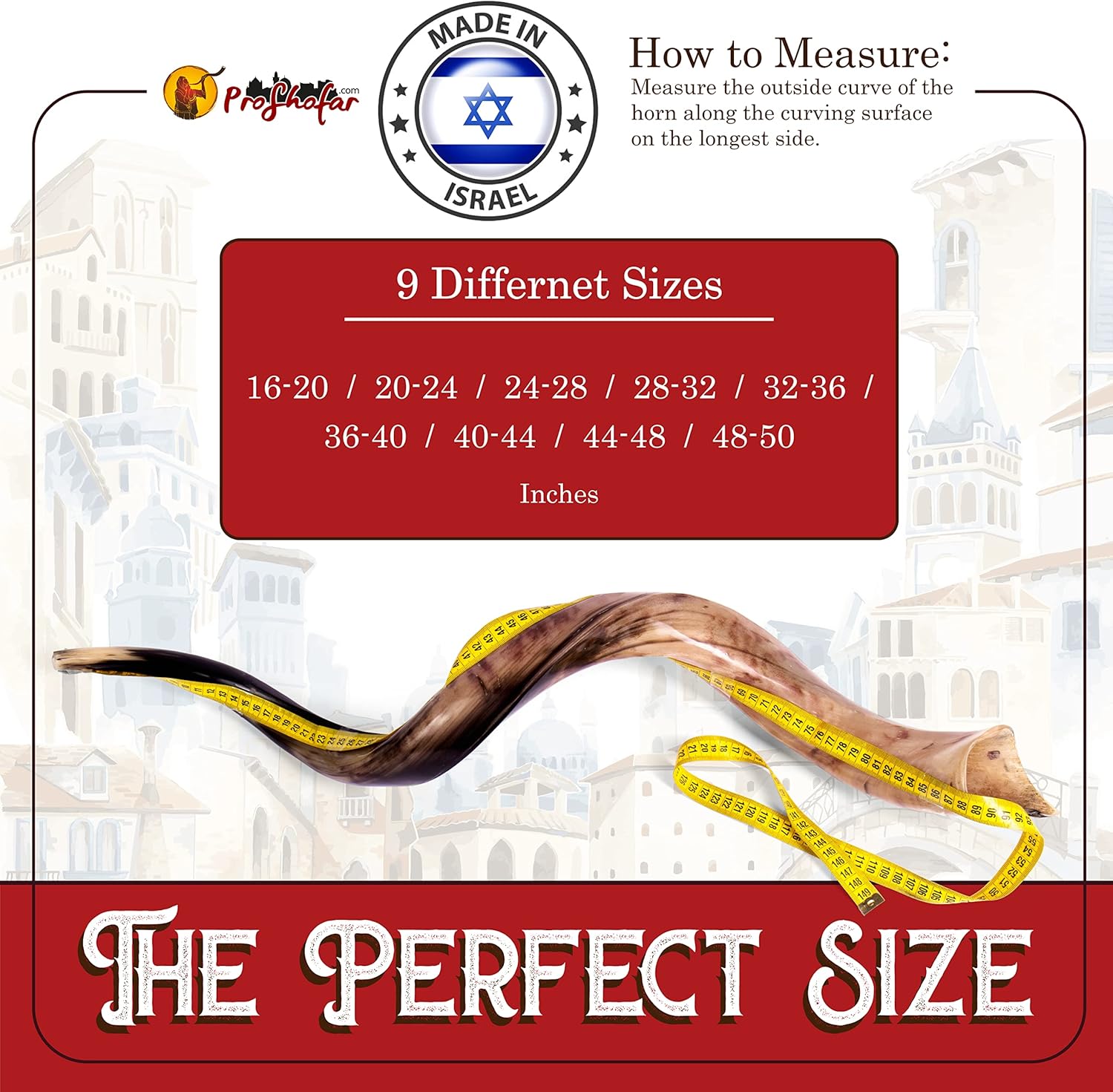 Buy Fully Polished Kosher Shofar Set from Israel, Kudu Shofar Horn