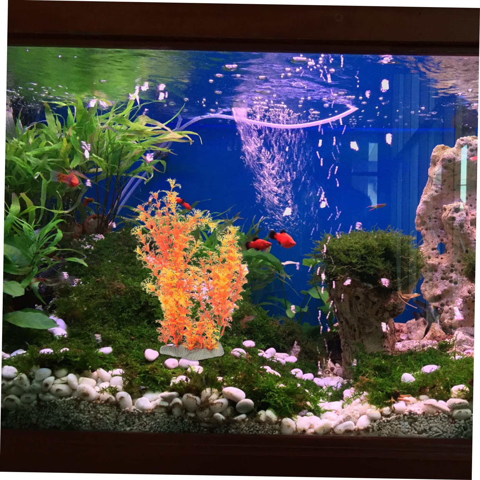 Sosoport 3stücke Künstliche Wasserpflanze Für Aquarien Dekoration Widerstandsfähigem Material Für Fischbecken Und Teichgestaltung Und Langlebig