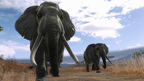 Cabela's Dangerous Hunts 2013 [Download]