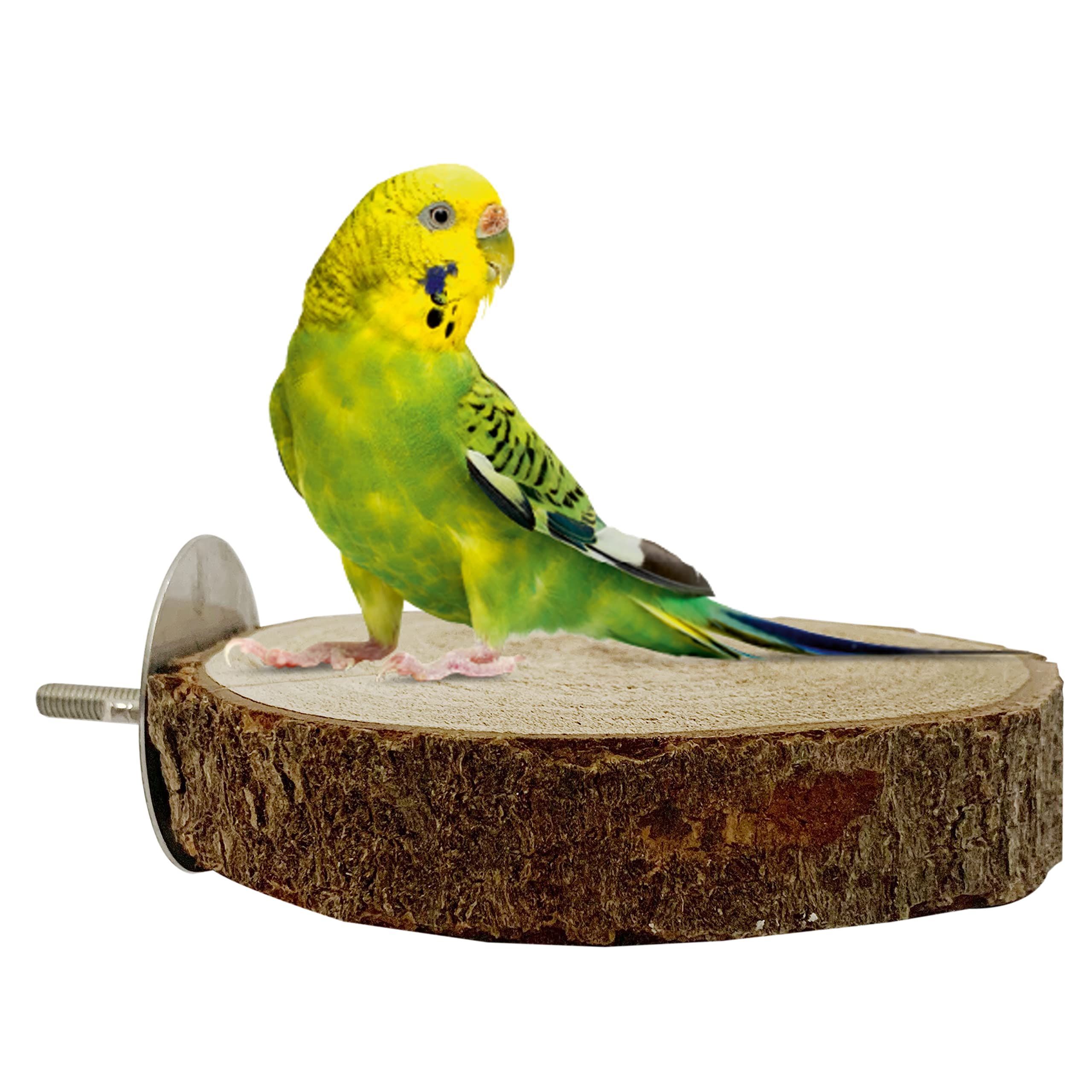 Congo® 5 Inch Essential Wooden Round Platform for Budgies, Lovebirds and Other Birds (Piece of 1) (B09X166RM1) Amazon Price History, Amazon Price Tracker