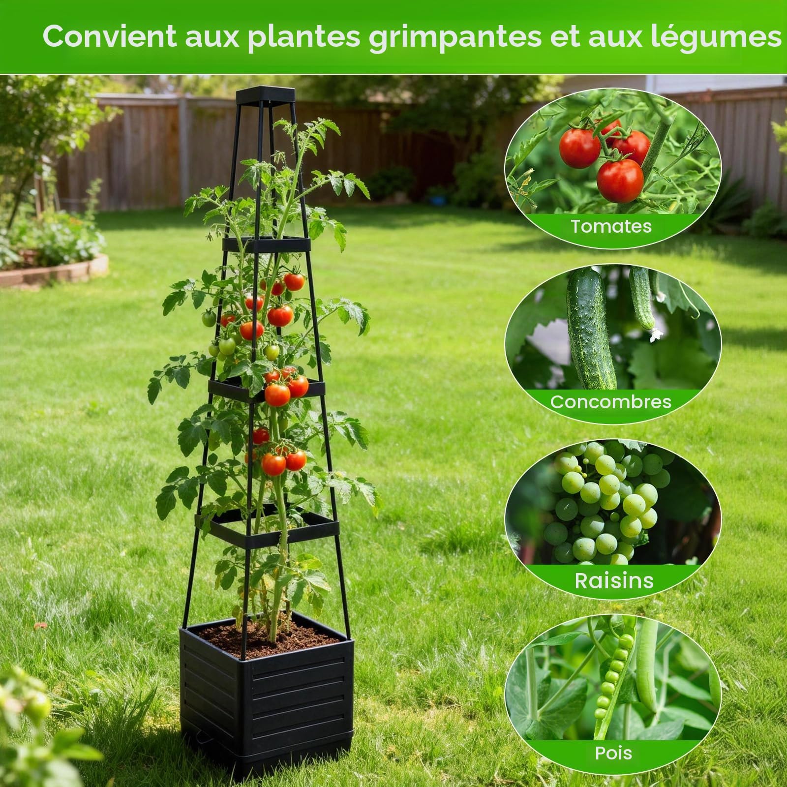 Jardinière surélevée avec Treillis, Auto-arrosante, Cage à tomates pour légumes grimpants - Convient aux patios, aux serres, à l'intérieur/extérieur（2Pc）
