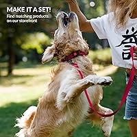 Vista 17 de CollarDirect Reflective Dog Collar for a Small, Medium, Large Dog or Puppy with a Quick Release Buckle - Boy and Girl - Nylon Suitable for Swimming