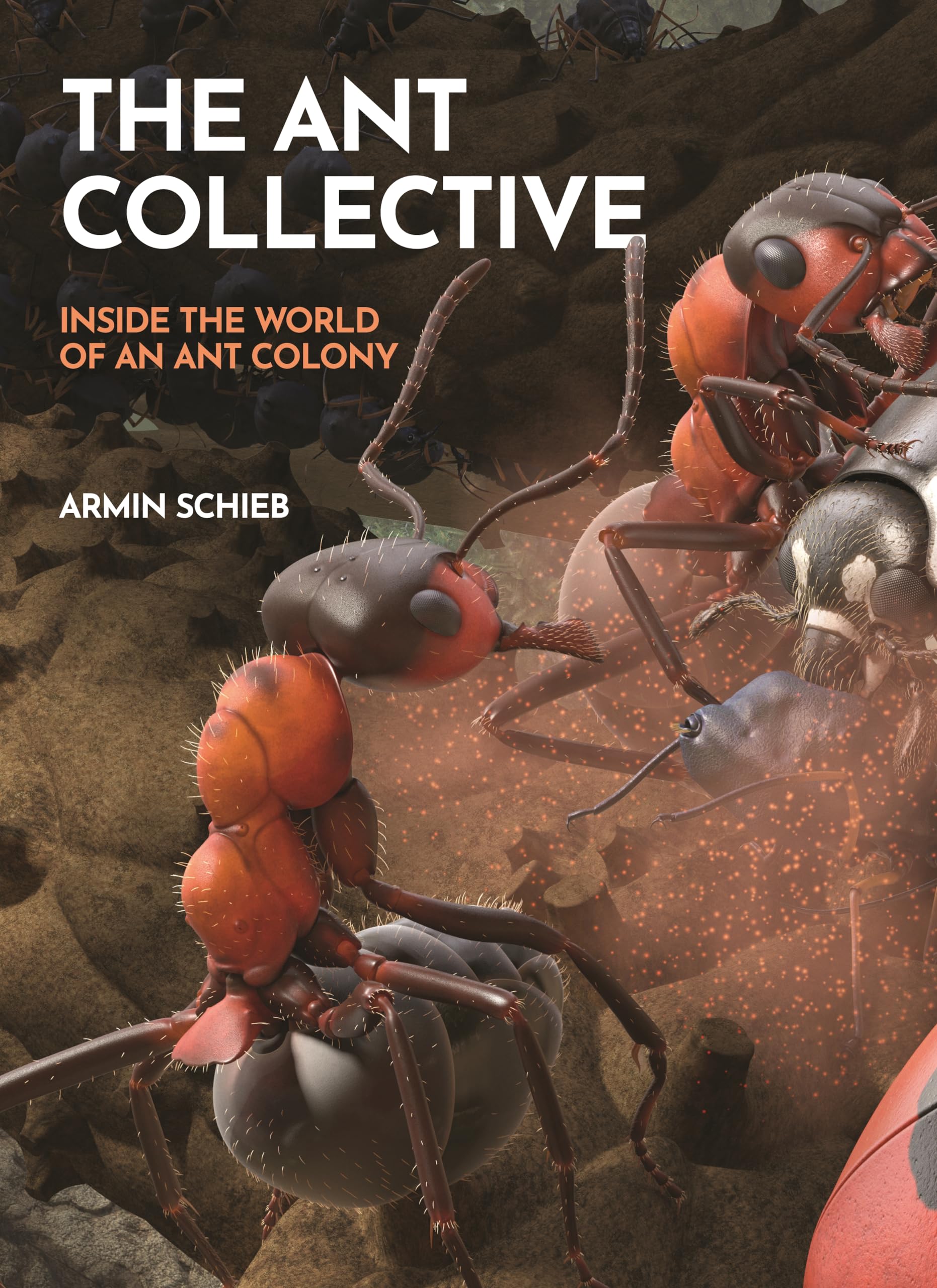 The Ant Collective : Inside the World of an Ant Colony