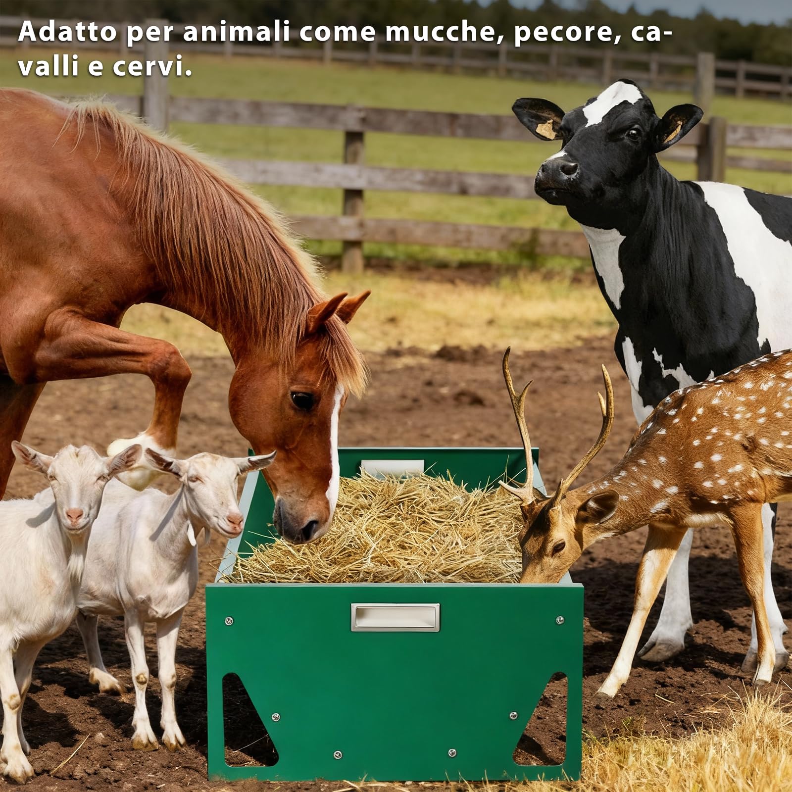 Mangiatoia Cavalli Acciaio Zincato 100cm Grande Capacità Attrezzature per Allevamento Resistente Facile da Pulire Mangiatoia per Bovini per Capre Bovini Maiali Bovini Capannoni di Allevamenti