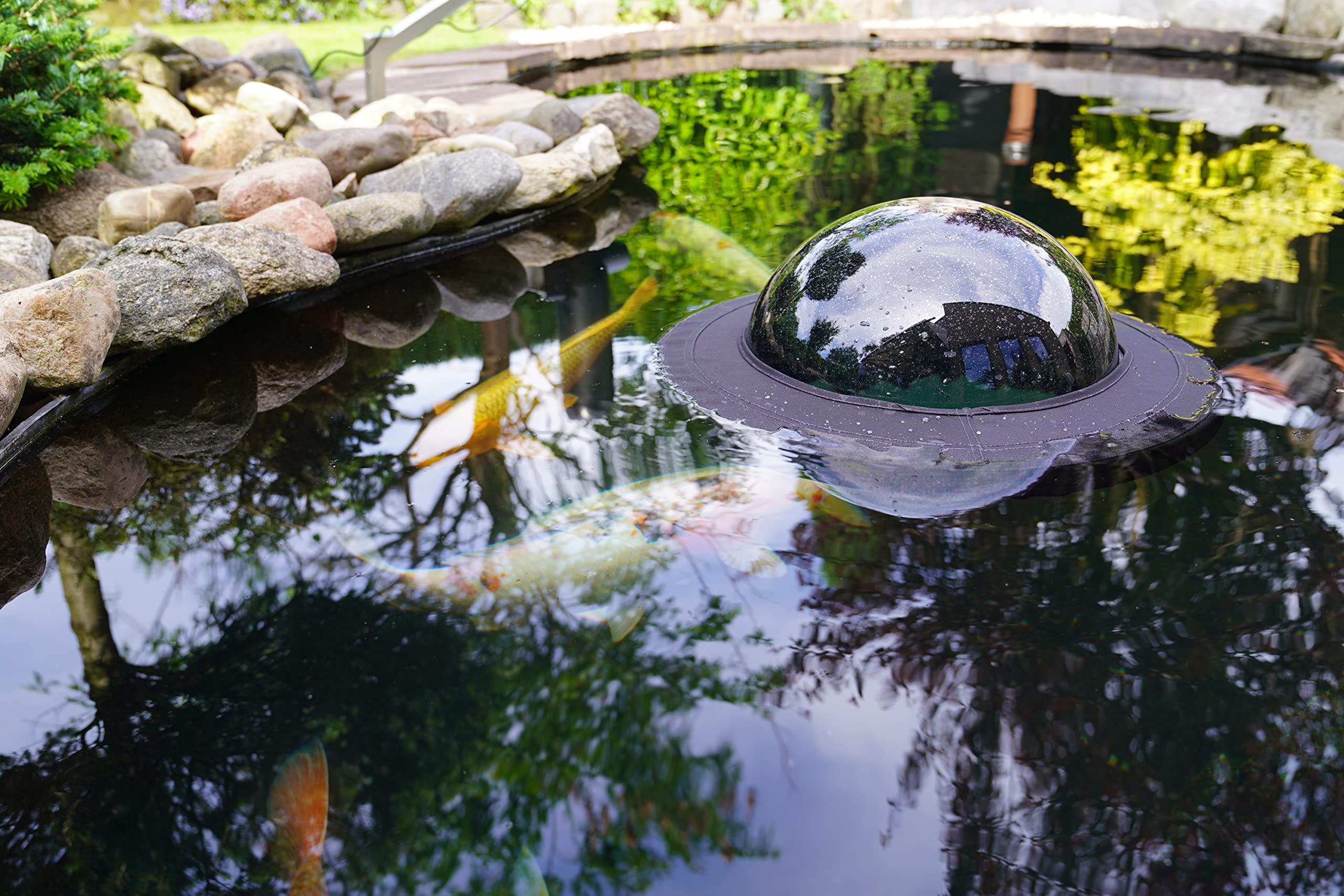 Velda 123503 Plexiglas-Kuppel zum Beobachten von Teichfischen, Ø 35 cm, Floating Fish Dome M