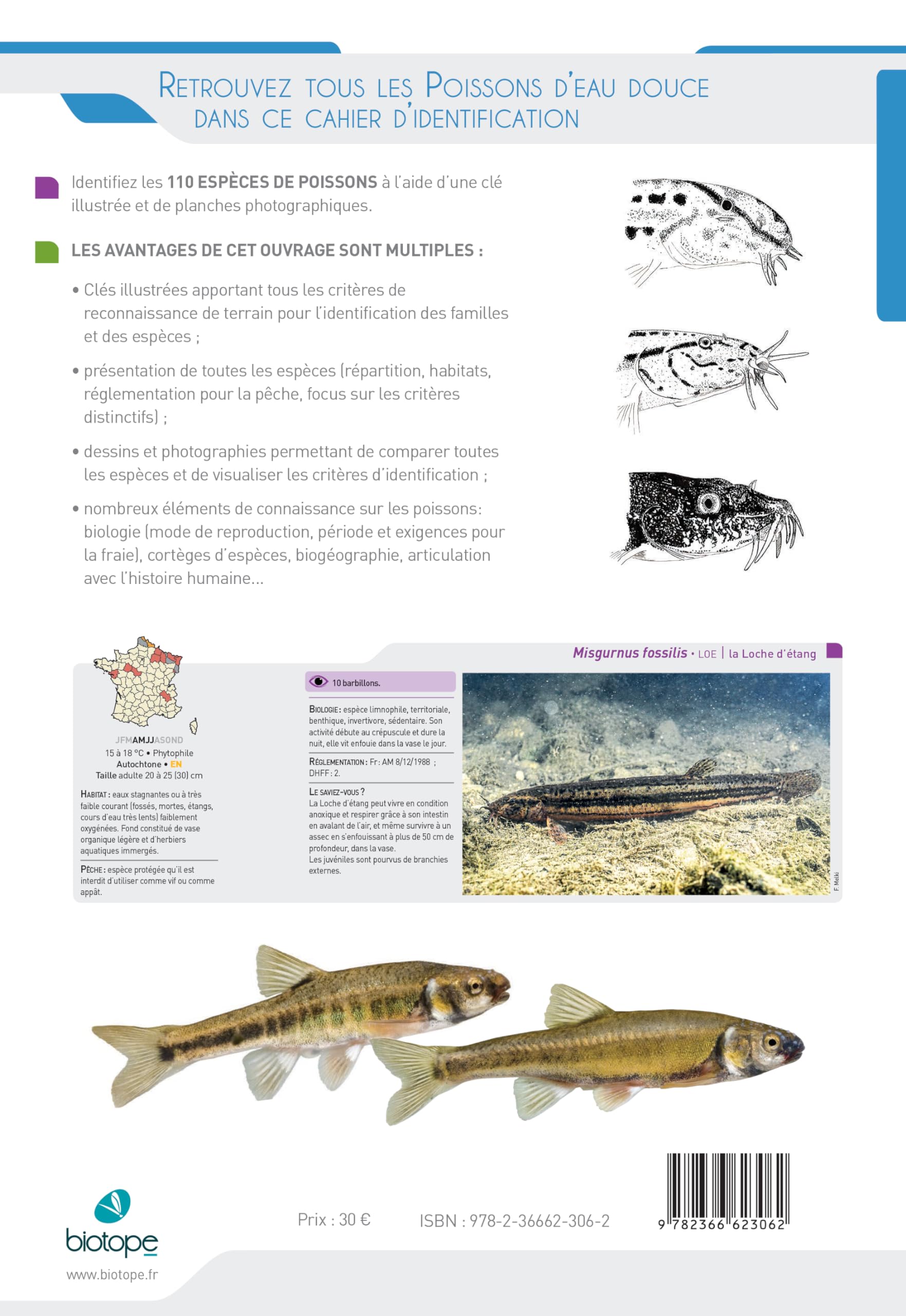 Cahier d'identification des poissons d'eau douce