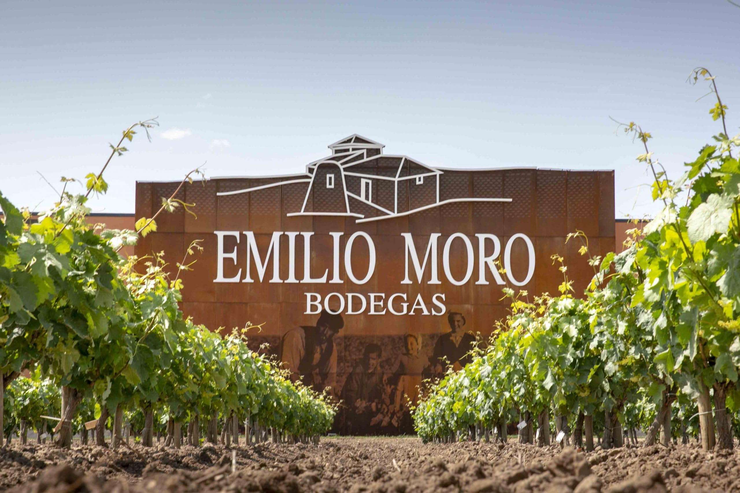 Finca Resalso - Envío Gratis 24 H - 6 Botellas - Vino Tinto Bodegas Emilio Moro - Estuche Regalo - Seleccionado y enviado por Cosecha Privada - 6 F. Resalso