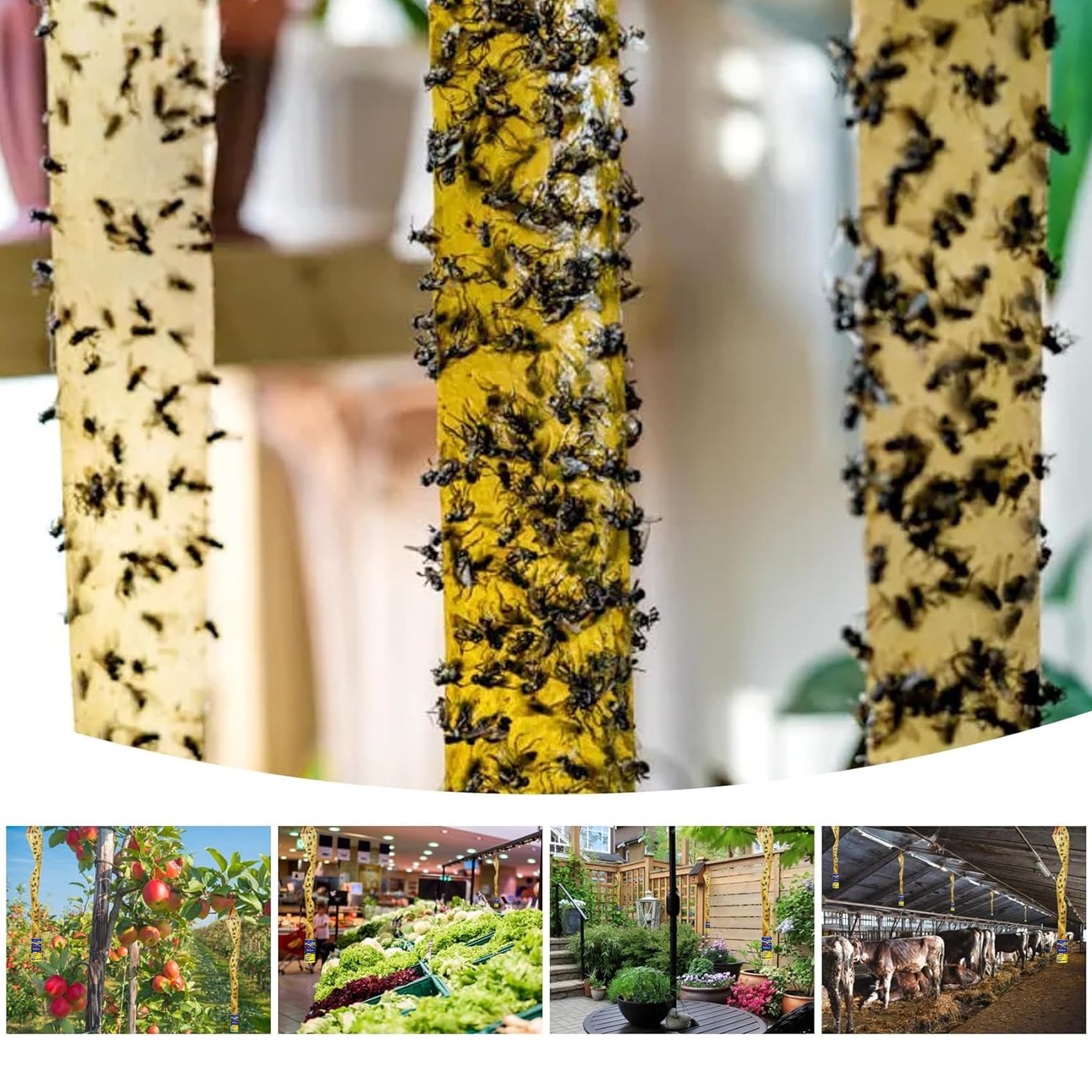 Paquete de 40 trampas para moscas para interiores y exteriores, papel adhesivo para colgar con alfileres, rollo de cinta para moscas de frutas para el hogar, atrapasueños y mosquitos para interior