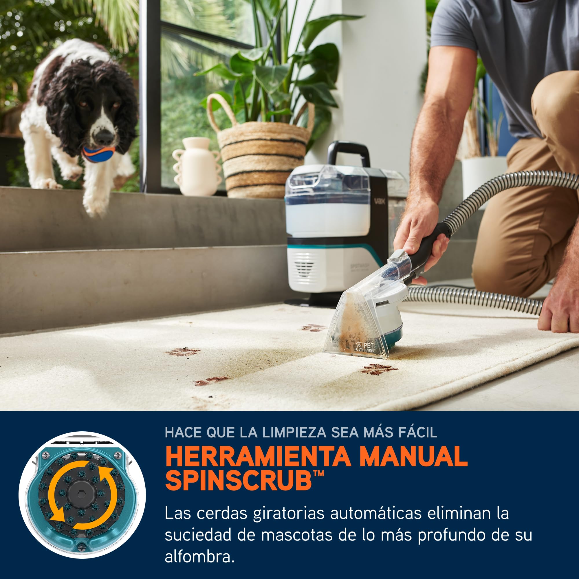 Limpiador quitamanchas Vax SpotWash Max Pet-Design, potente quitamanchas para alfombras y tapicerías con tecnología SpinScrub, depósito XL, limpieza profunda para mascotas, sofás