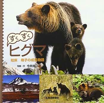 81TfkHXbX6L._AC_UF350, 81TfkHXbX6L._AC_UF350,