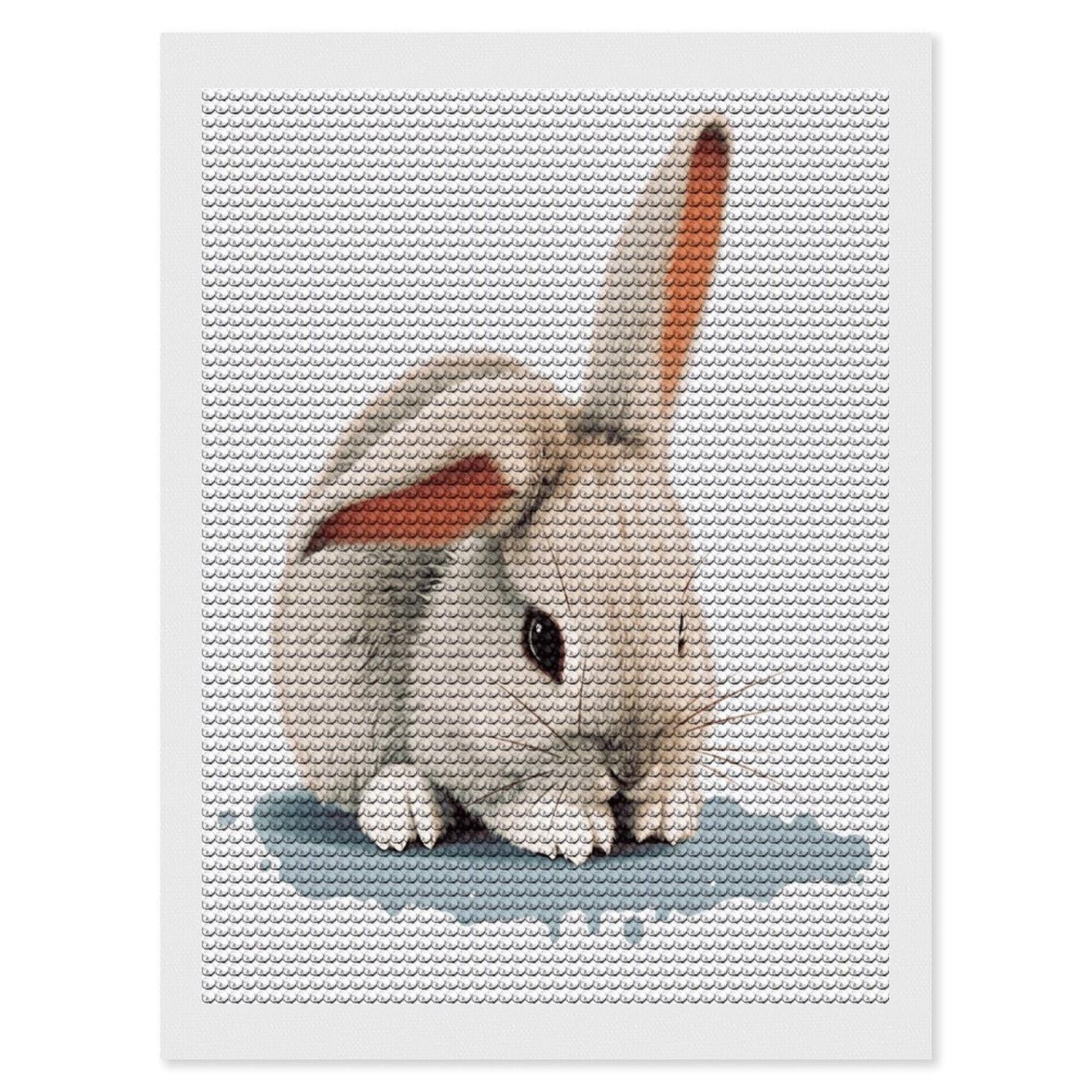 FekiLoot Cry Rabbit Diamond Art Kits for Adults Diamond Painting Kits for Beginners DIY Diamond Art Kits Round Full Drill Diamond Dot Gem Painting for Home Wall Decor Gift 12"x16"