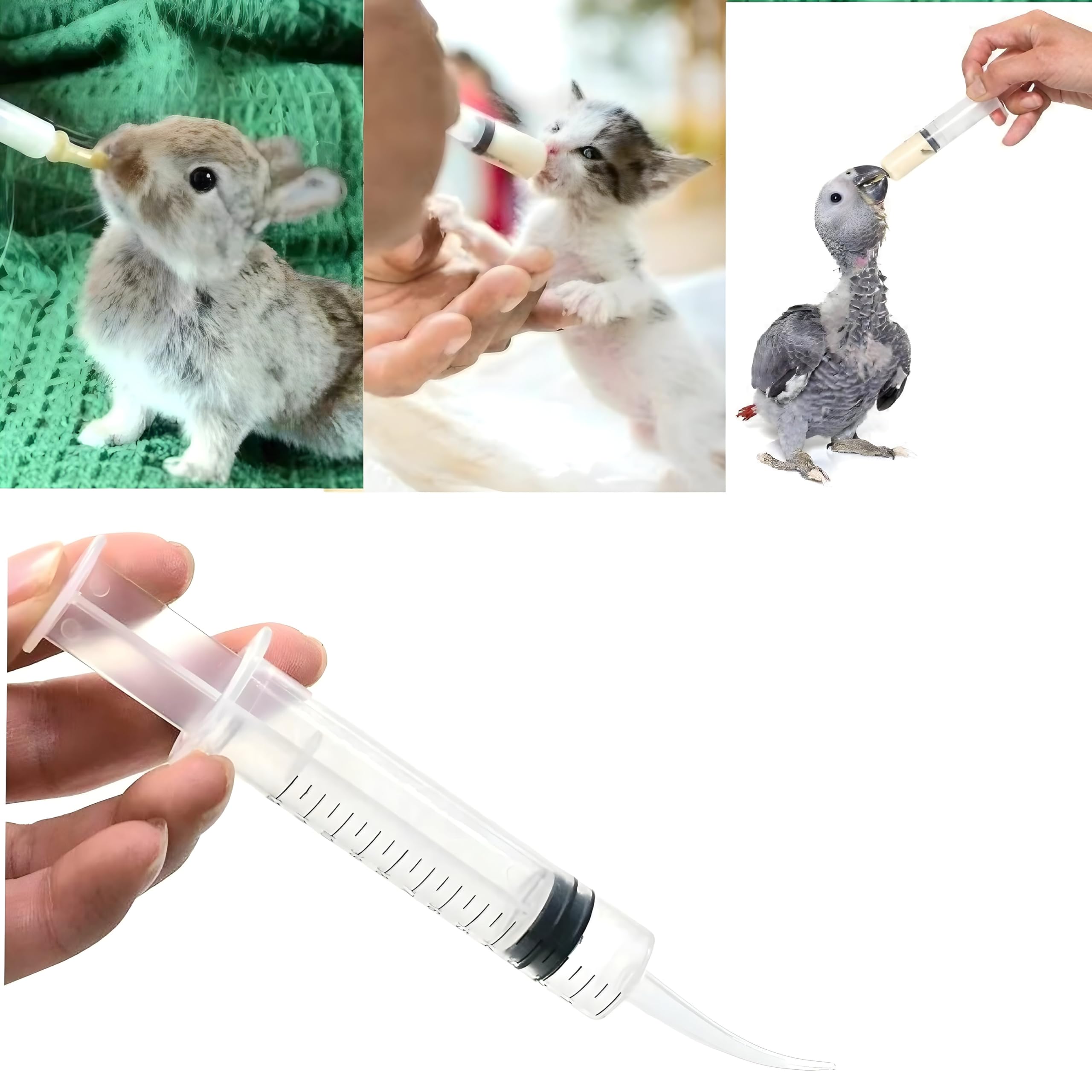 AL-Bi Bird Hand Feeding Syringe Curve Type Tip for All Baby Birds Chicks Puppy Kitten (12ml, Pack of 2 pcs) Bird Water Feeder Tube, Feeding Syringe (B0CJTZ748X) Amazon Price History, Amazon Price Tracker