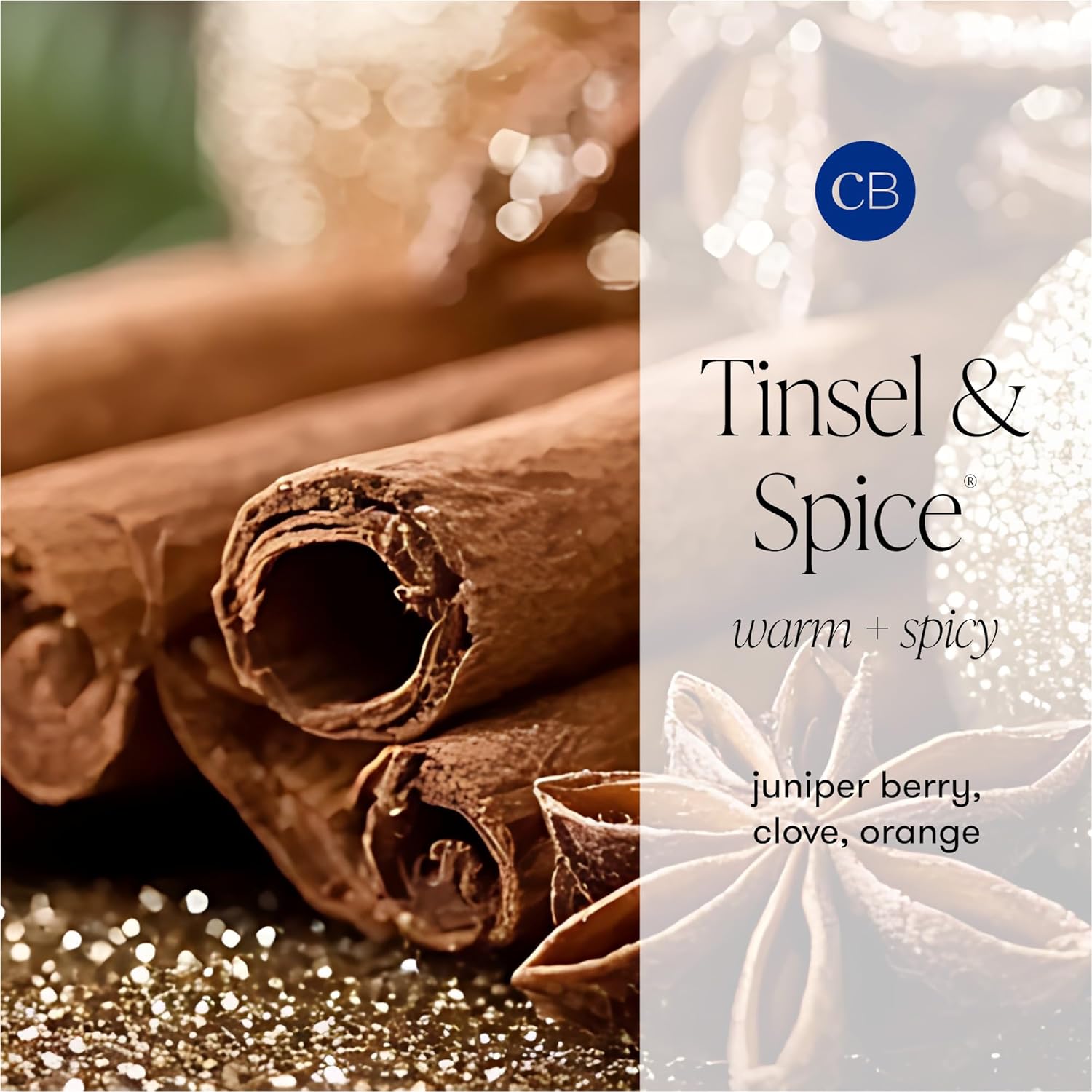 Capri Blue Glimmer Reed Diffuser Set - Includes Diffuser Sticks, Scented Oil, and Decorative Glass Bottle - Home Decor Room Freshener - Capri Blue Home Fragrance - Tinsel & Spice (8 fl oz) - Image 3