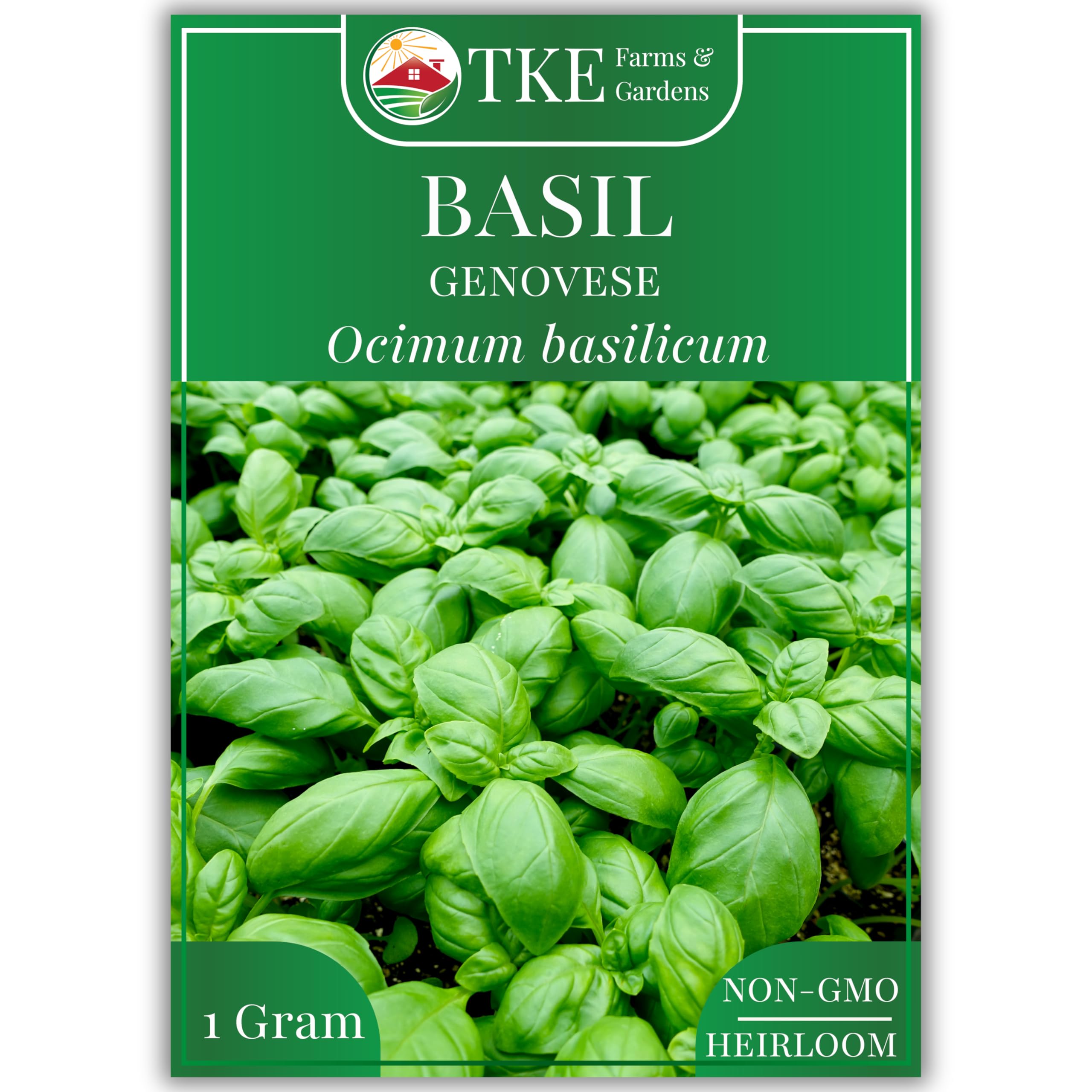 Genovese Basil Seeds for Planting, 600+ Heirloom Non-GMO Italian Basil Seeds, Sweet Culinary Herb, Grow Indoors or Outdoors, Delicious Basil Plants, Instructions Included
