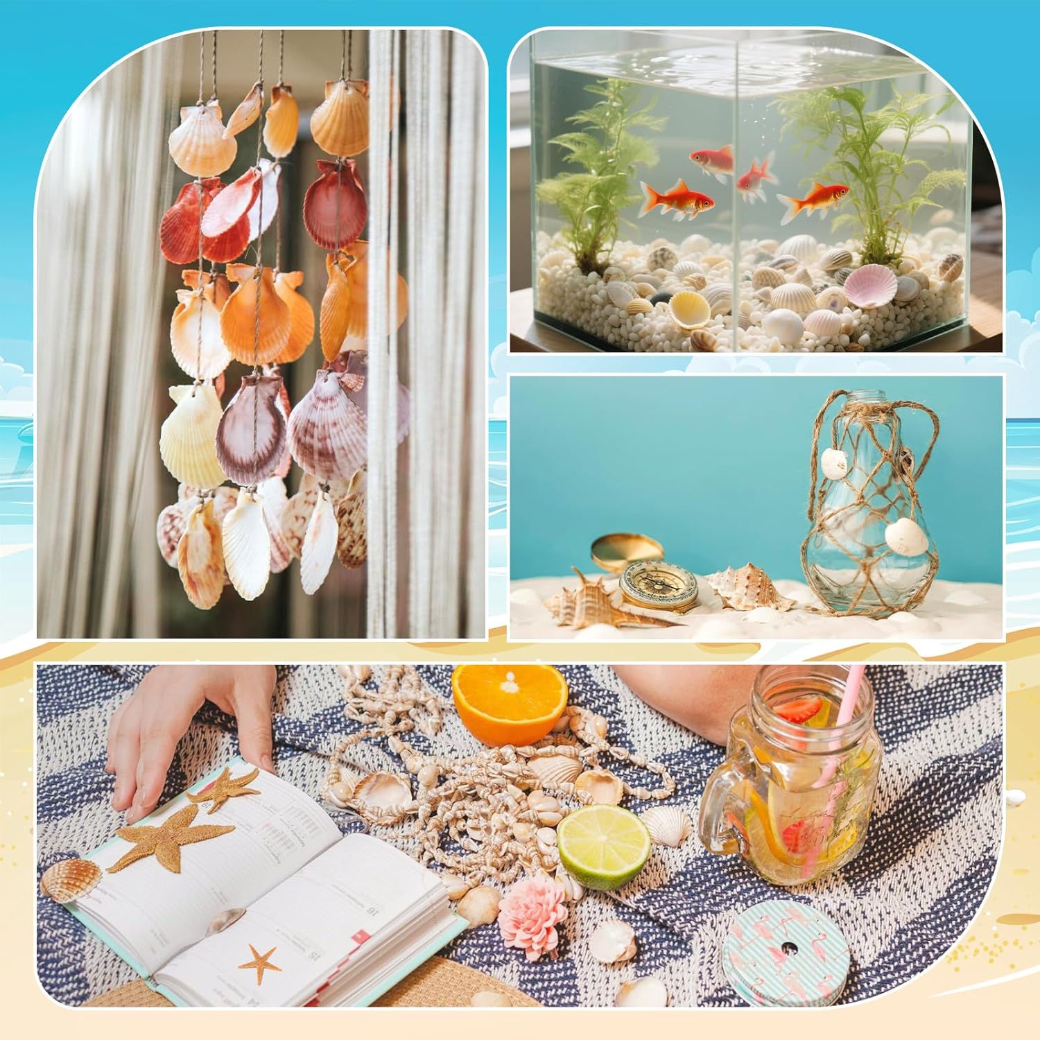 Mixed Sea Shells, 150+ Pcs Beach Seashells Starfish, Armenia Ubuy