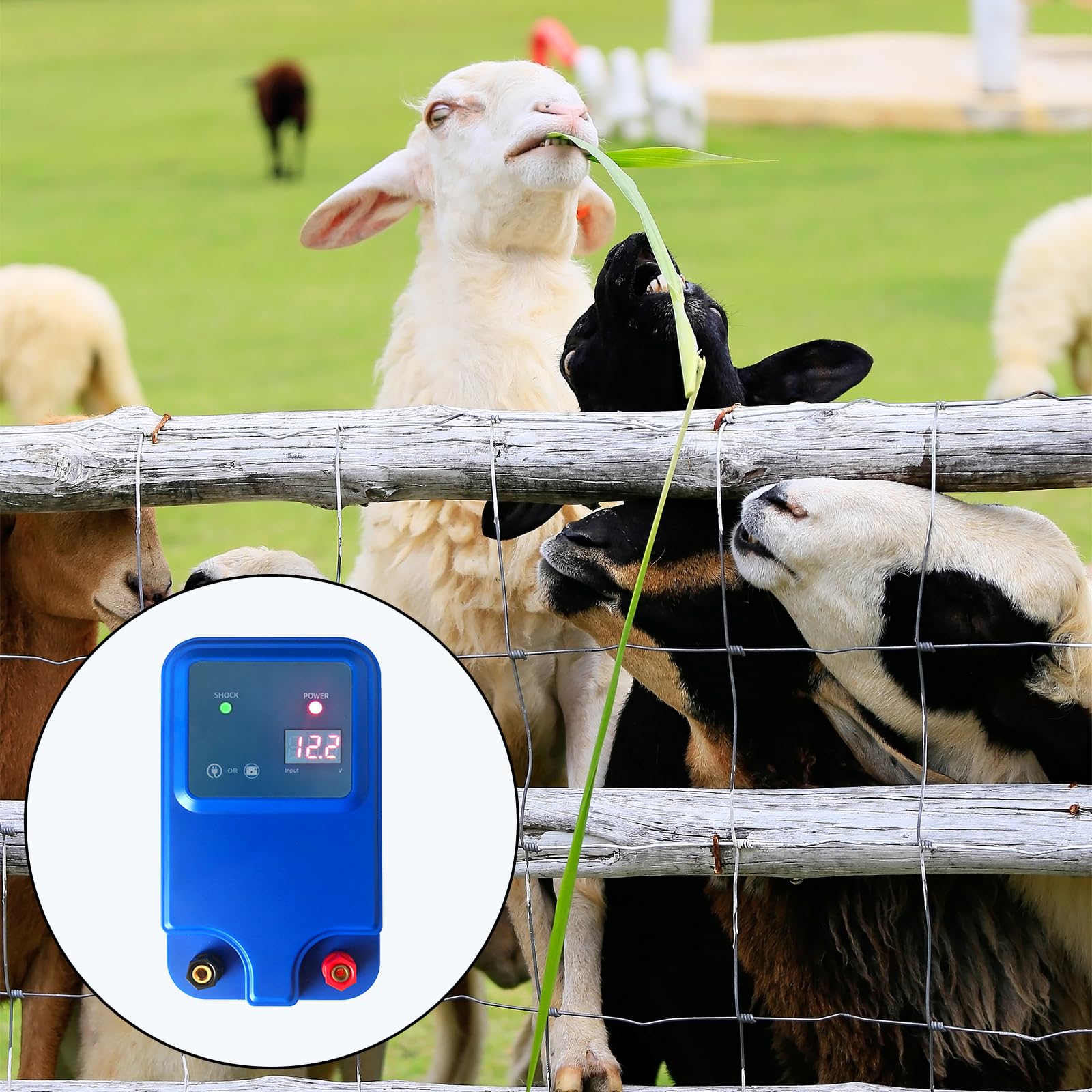Pastor Electrico 12V, Pastor Electrico Para Perros Cerca Con Pantalla Led Alcance De 5 Km, 1,5 Julios Para La Protección De Ganado Ovejas Aves De Corral Pastos Jardines
