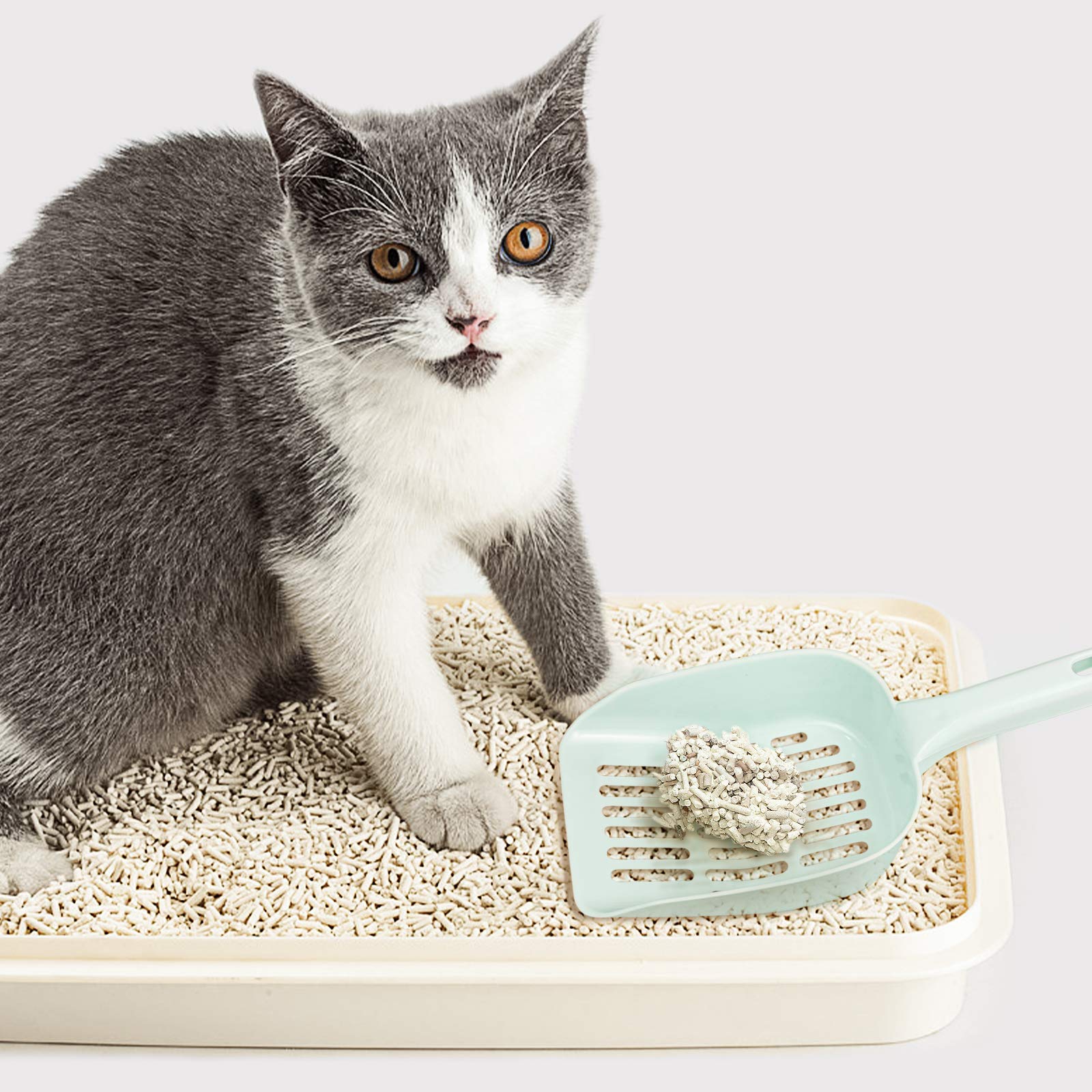 SUPVOX 4ensembles Kit De Nettoyage Pour Cage De Petit Animal Balai Et