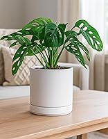Vista 6 de D'vine Dev 6.5 Inch Ceramic Planter Pot with Drainage Hole and Saucer, Indoor Cylinder Round Flower Pot, White, 94-O-C-1 Blanco