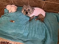 Review Image by Andy Girl Andy Girl