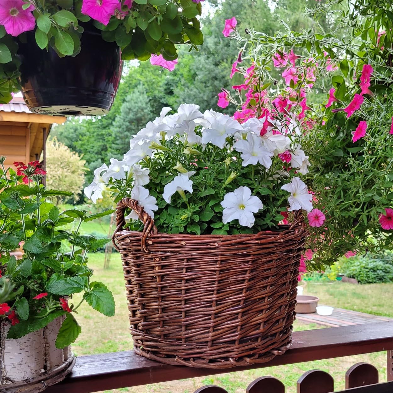weeco Lot de 3 Cache-Pots en Osier pour Pots de Fleurs - Paniers en Osier avec écorce - Cache-Pot tressé - Pot de Fleurs Ovale pour Fleurs, Plantes, Panier Naturel