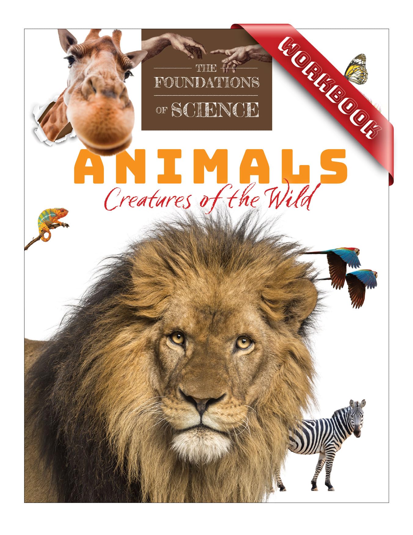 Animals: Creatures of the Wild Workbook (The Foundations of Science)