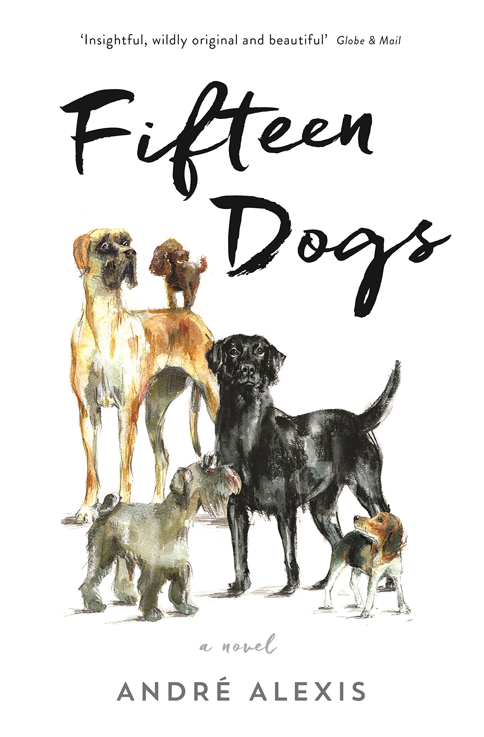 Fifteen Dogs by Andre Alexis (Paperback Book)