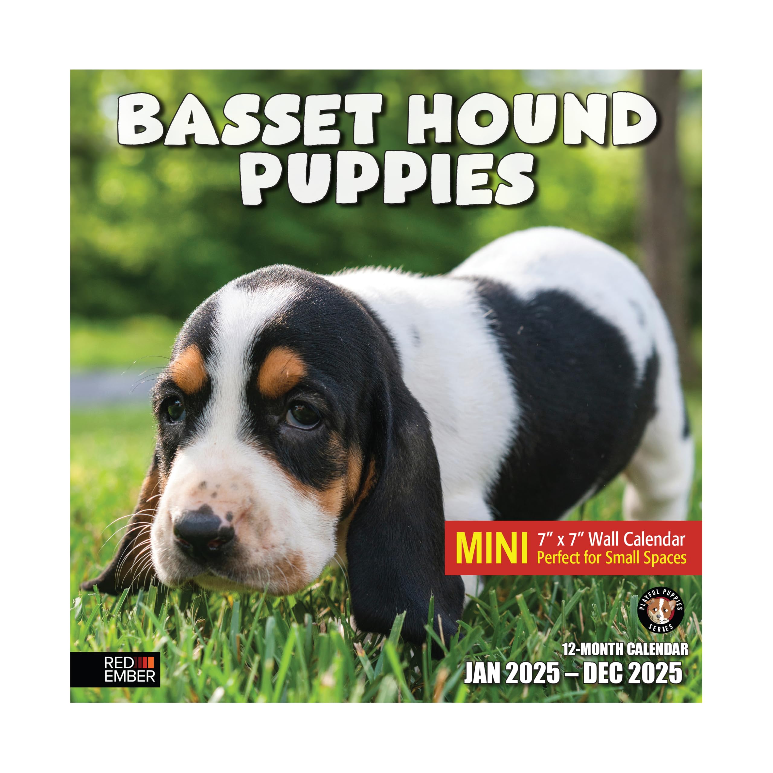 RED EMBER Basset Hound Puppies Mini 2025 Wall Calendar 12 Month | 7" x 14" Open | Thick & Sturdy Paper | Giftable | Calendar 2025